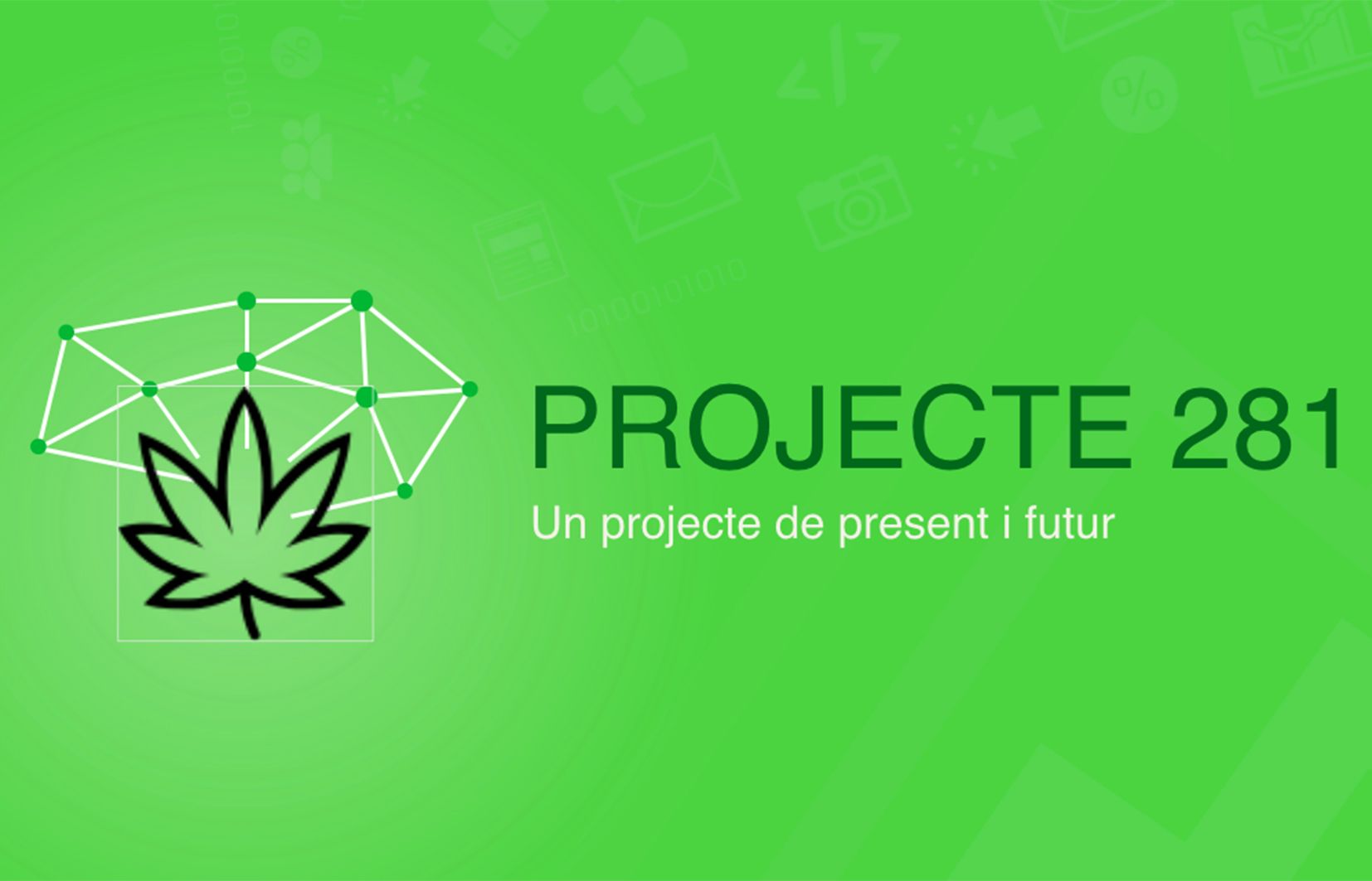 'Projecte 281' ha acabat esdevenint una empresa.