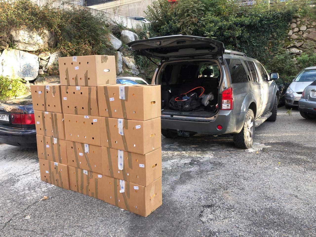 El tabac comissat i, darrere, un dels vehicles també recuperats en l'operació.