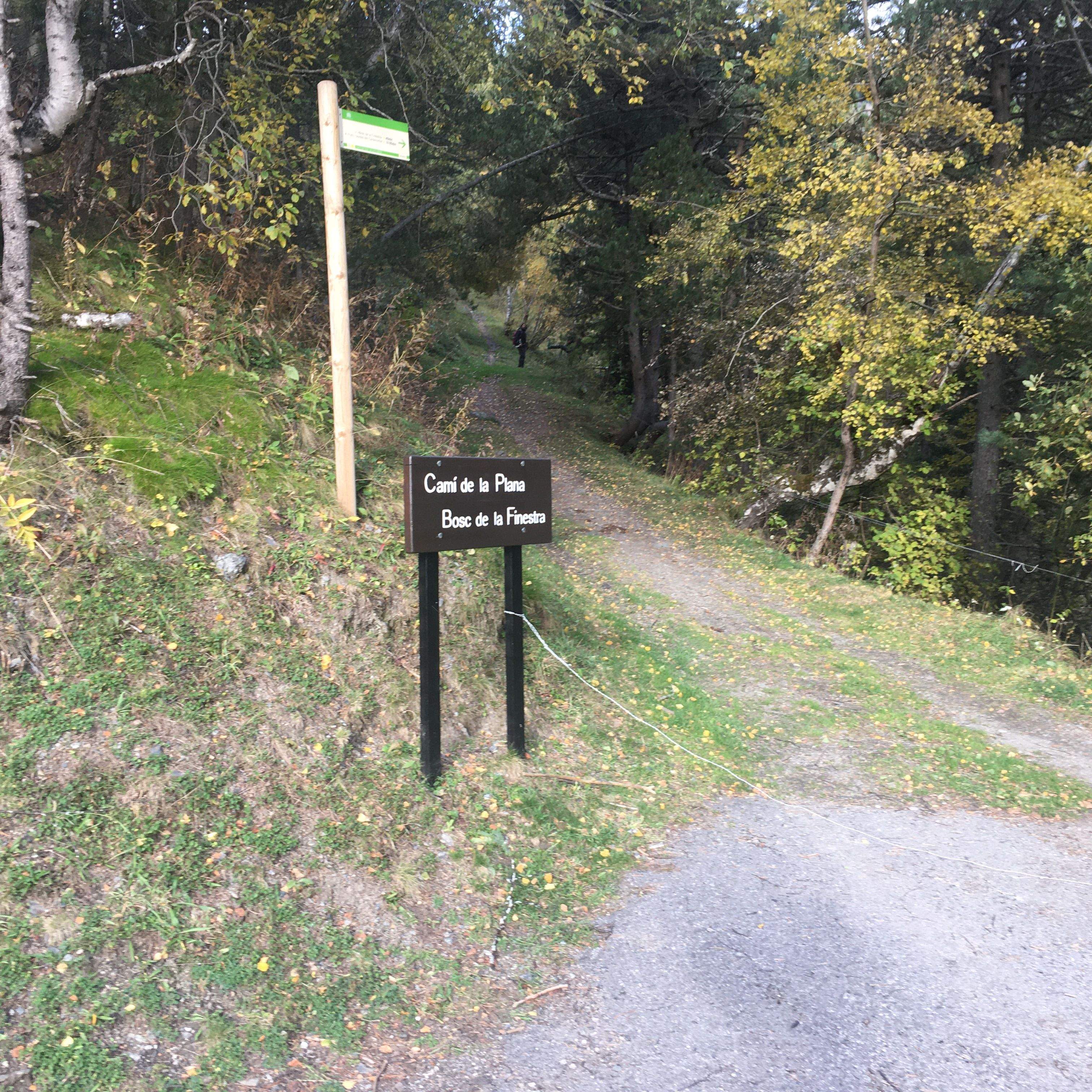 El camí on s'hauria abatut l'animal. La portaveu del Sindicat, Rebeca Bonache.