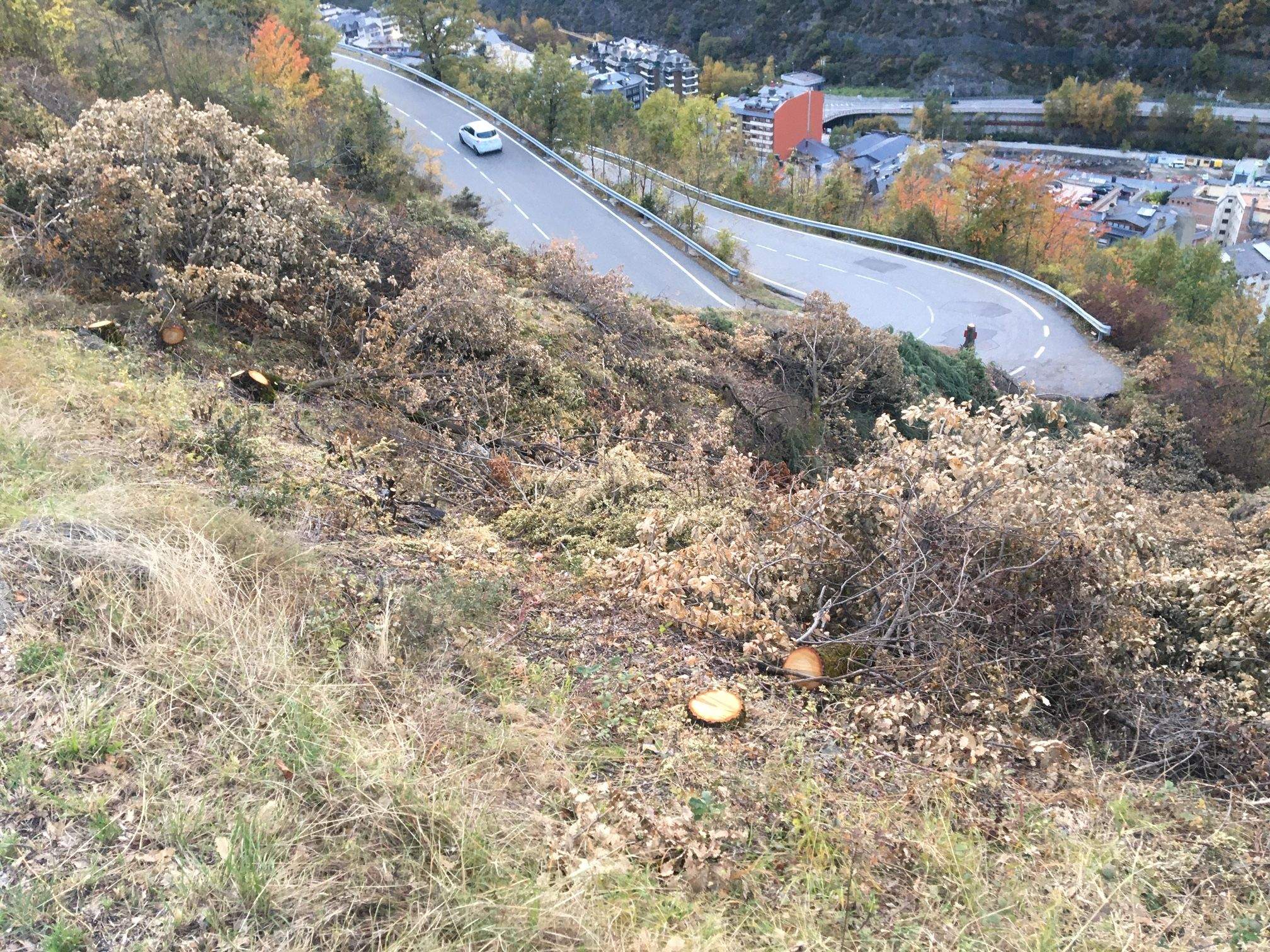 El terreny desbrossat en una imatge d'aquest divendres.