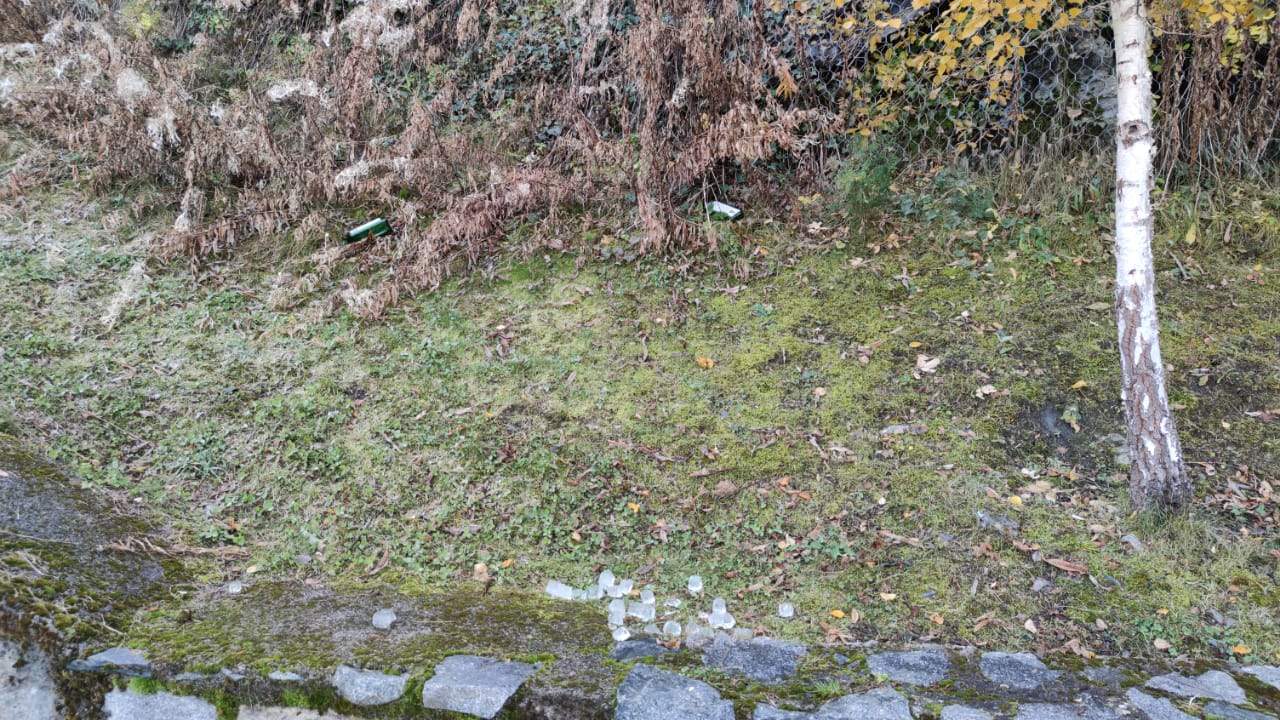 Restes del 'botellón' a un dels vorals del camí.