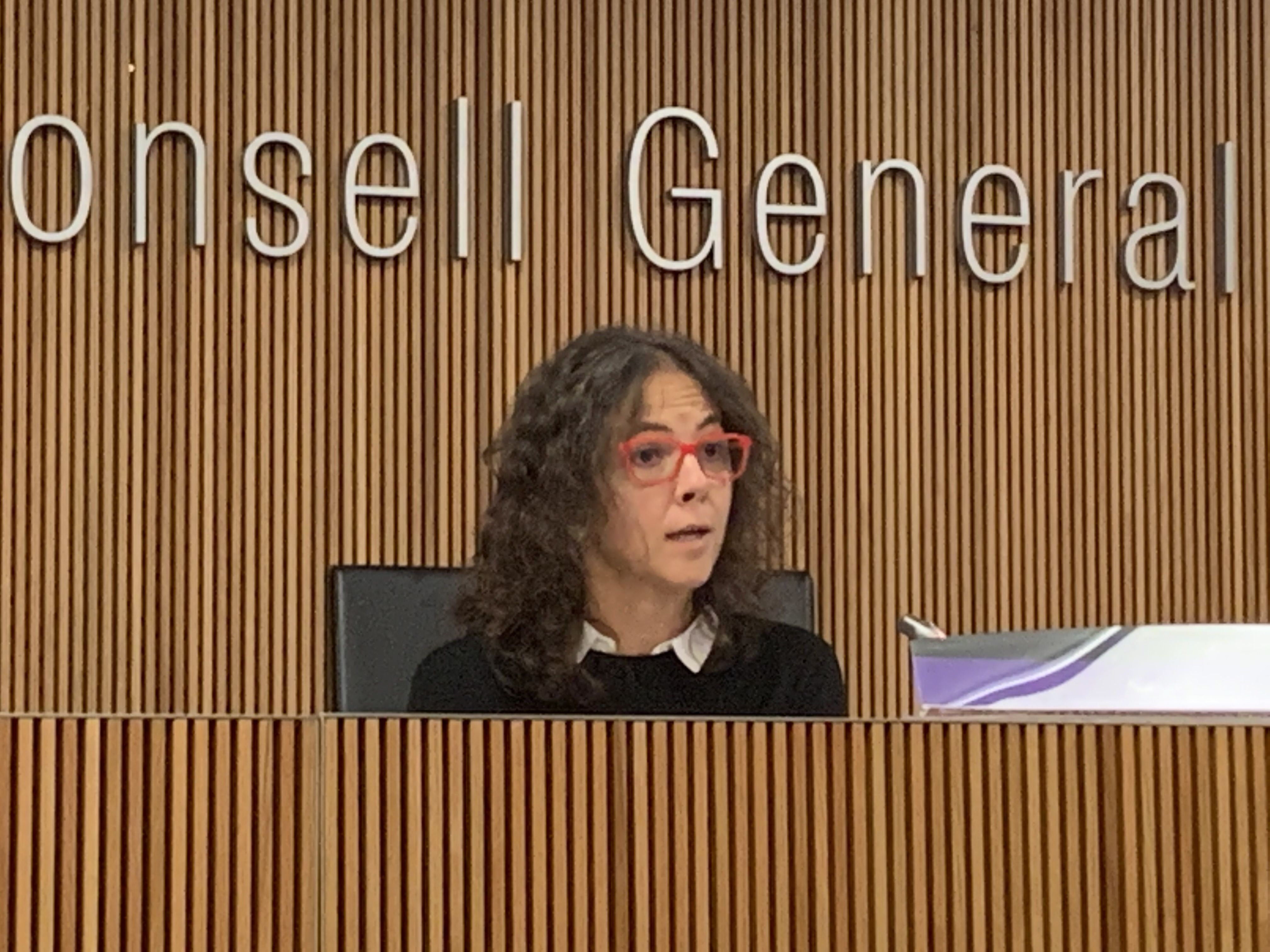 Judith Salazar en una compareixença al Consell General.