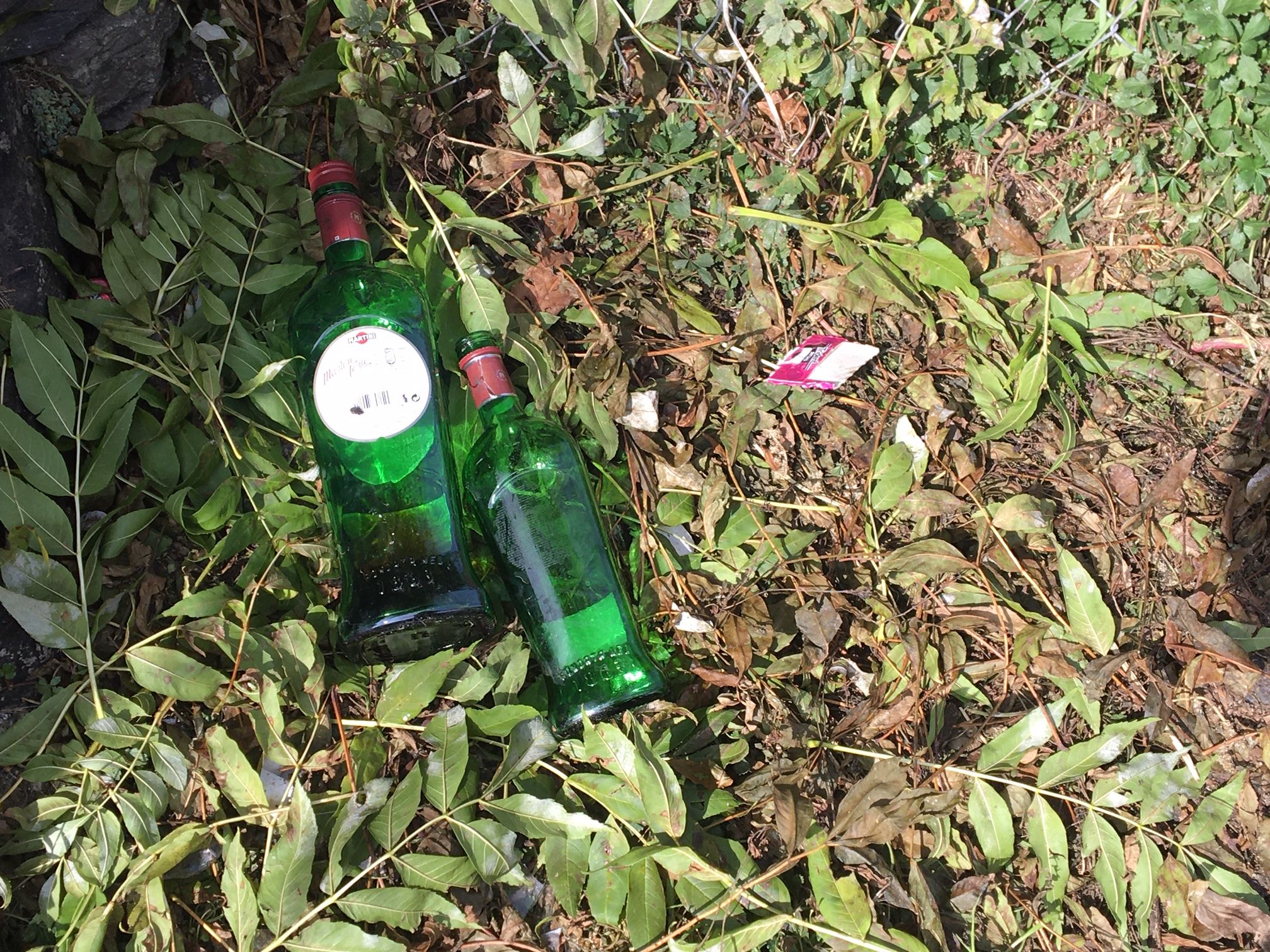 Restes d'un 'botellón'