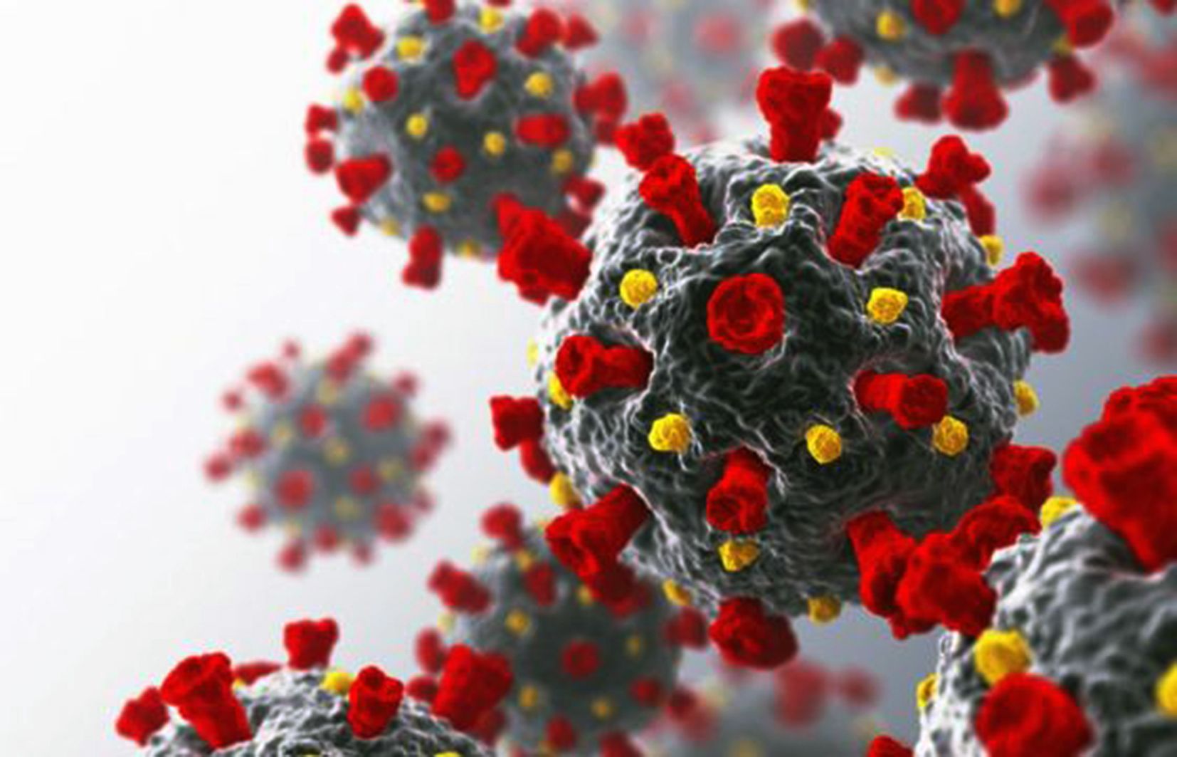 Reproducció del coronavirus.