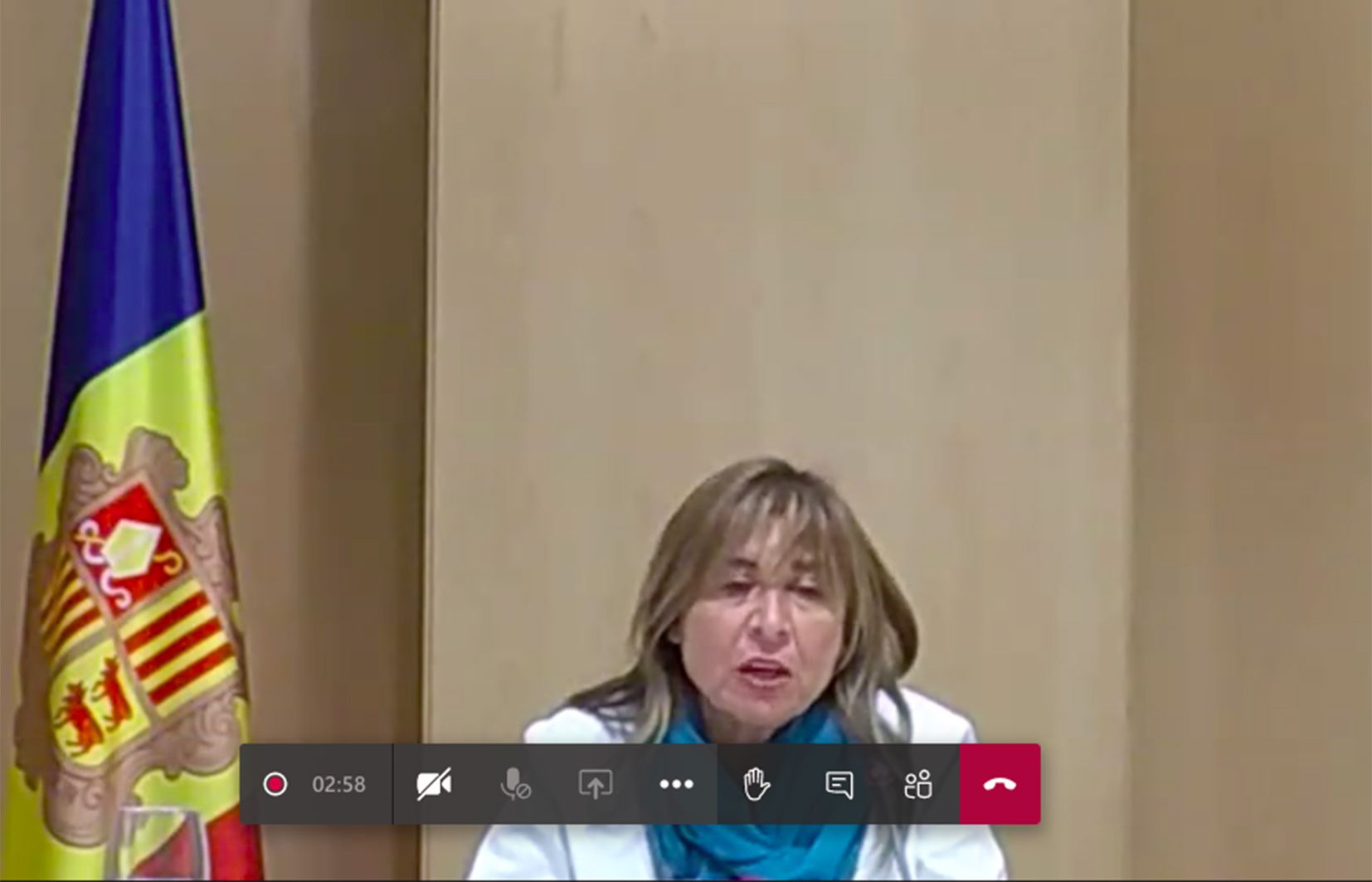 Conxita Marsol ha comparegut de forma telemàtica.