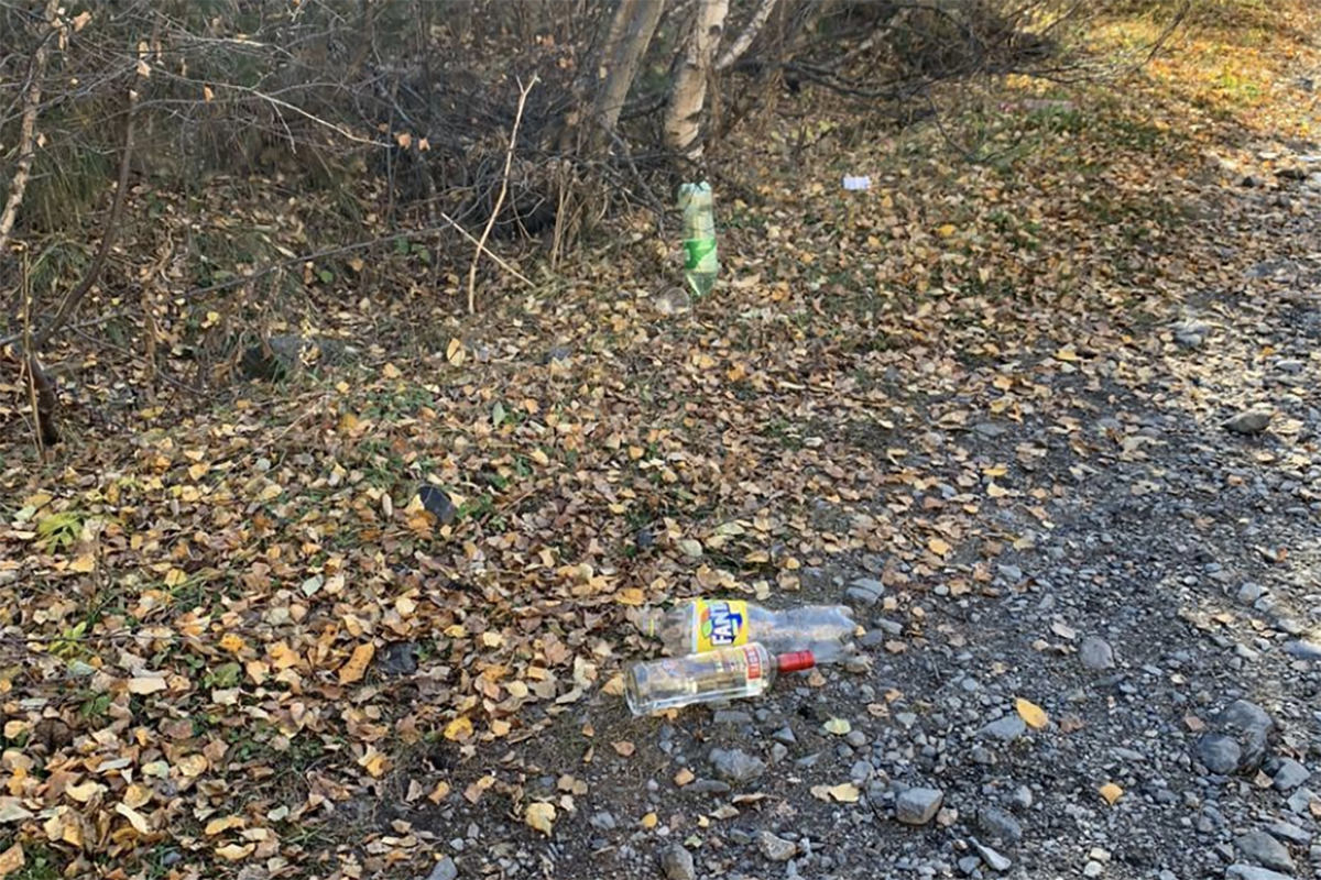 Restes del 'botellón' celebrat al camí de Sorteny