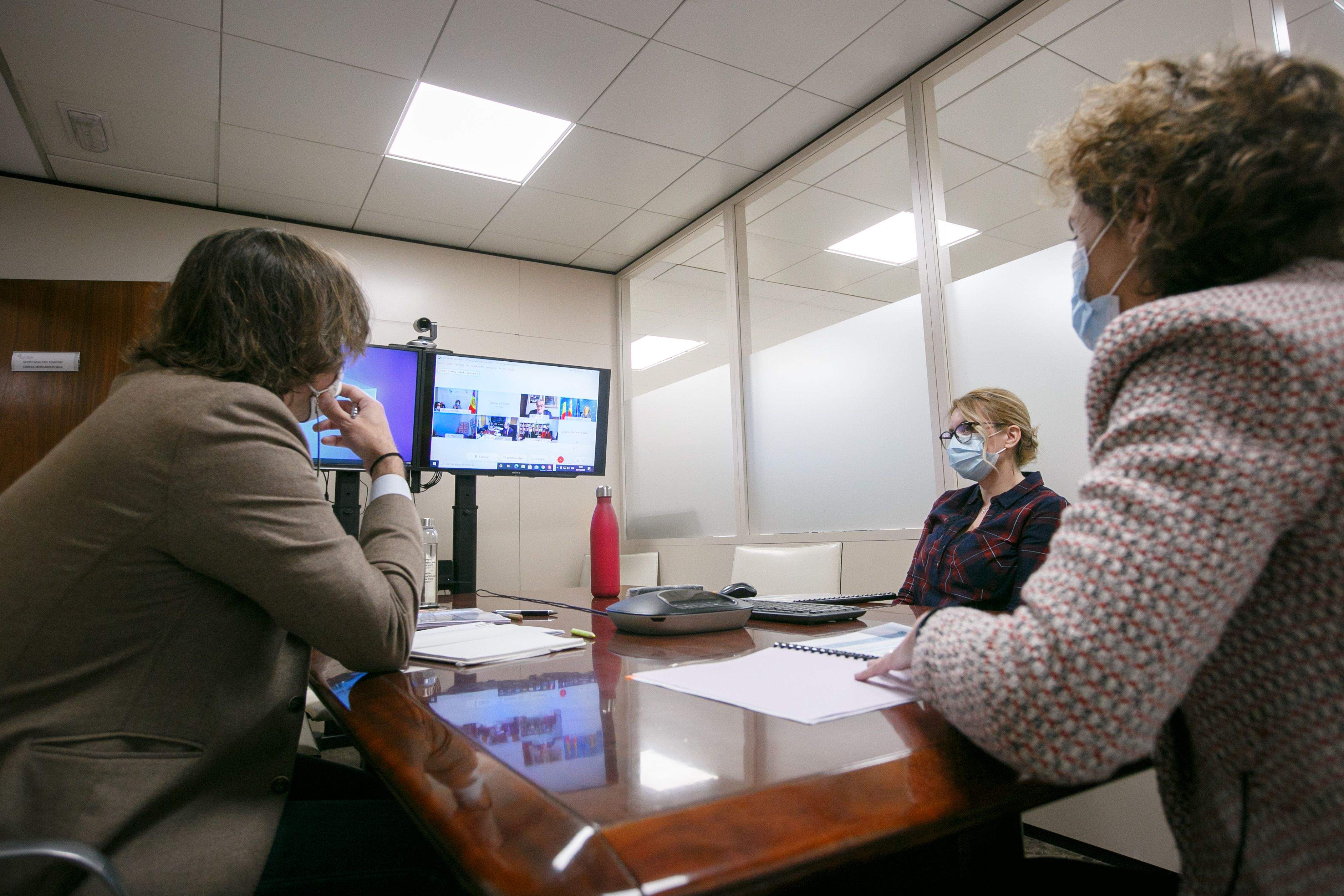 Un instant de la reunió telemàtica.