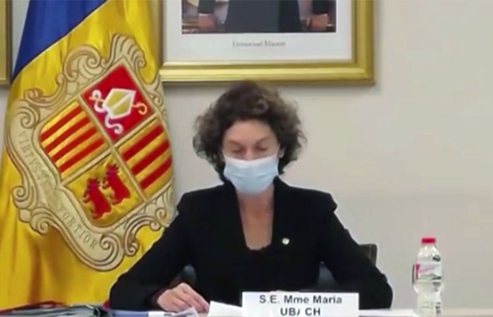 Maria Ubach durant l'exposició de l'informe davant la comissió de l'ONU.