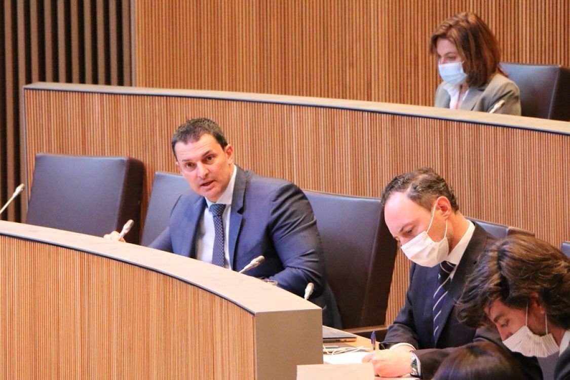 Gallardo, durant la seva intervenció al Consell.