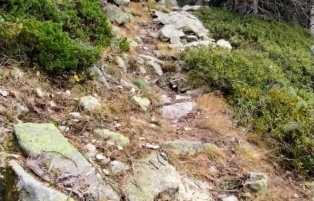 Part del camí on van caure els arbres.