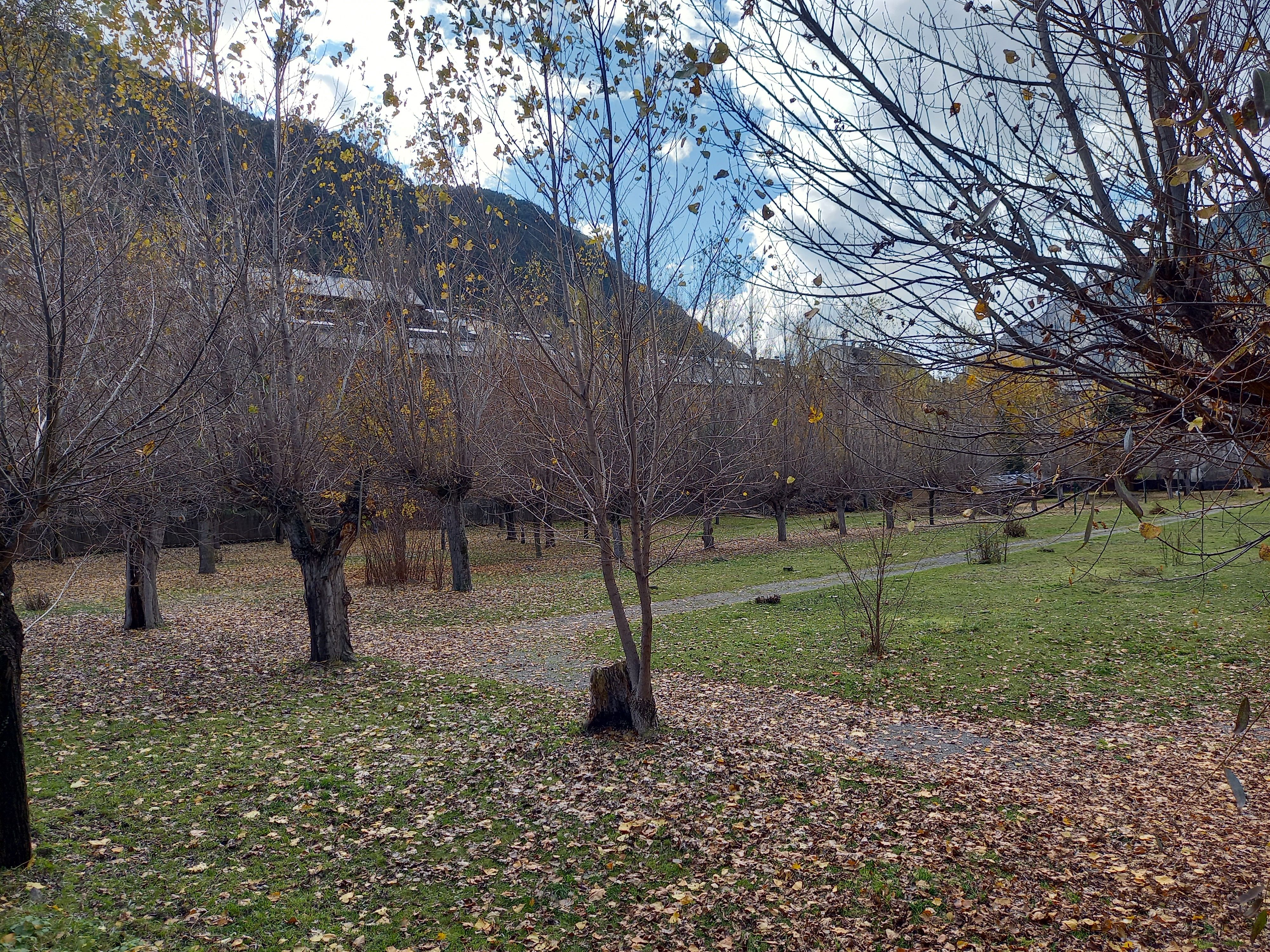 Els terrenys de l'antic càmping Internacional on es construirà part del nou Prat Gran.