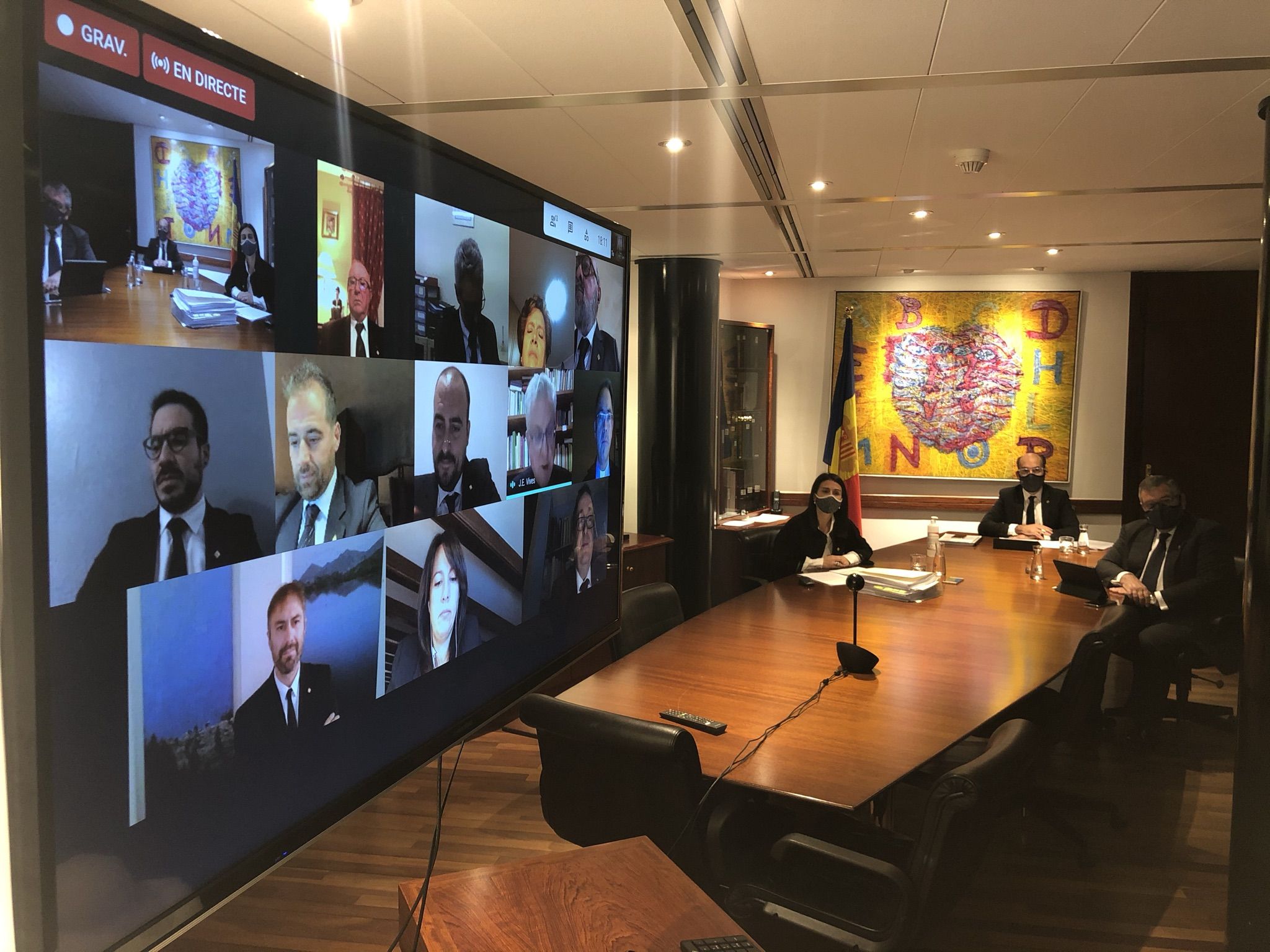 La sessió d'aquest dimecres s'ha fet de manera telemàtica.