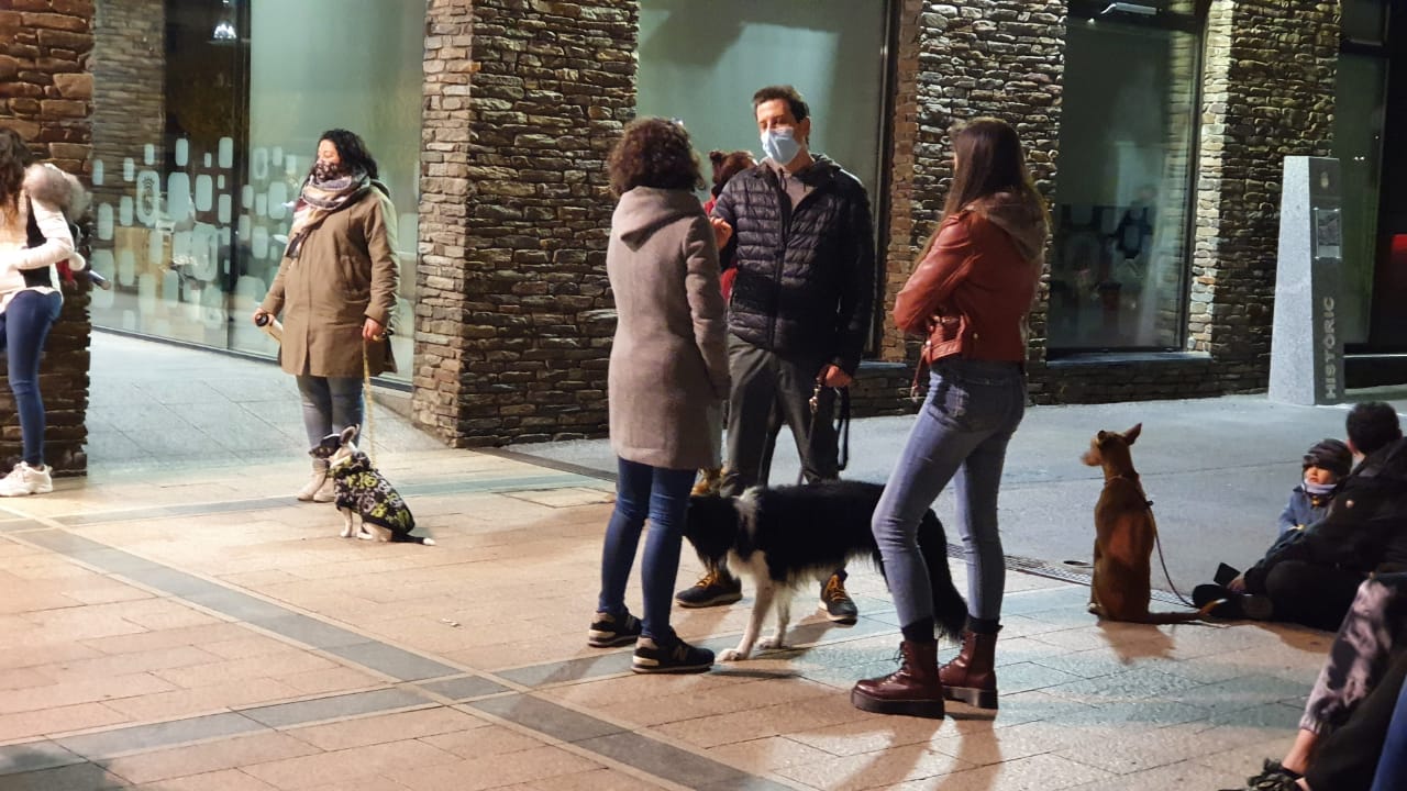 Una imatge de la trobada de propietaris de gossos en protesta contra la taxa