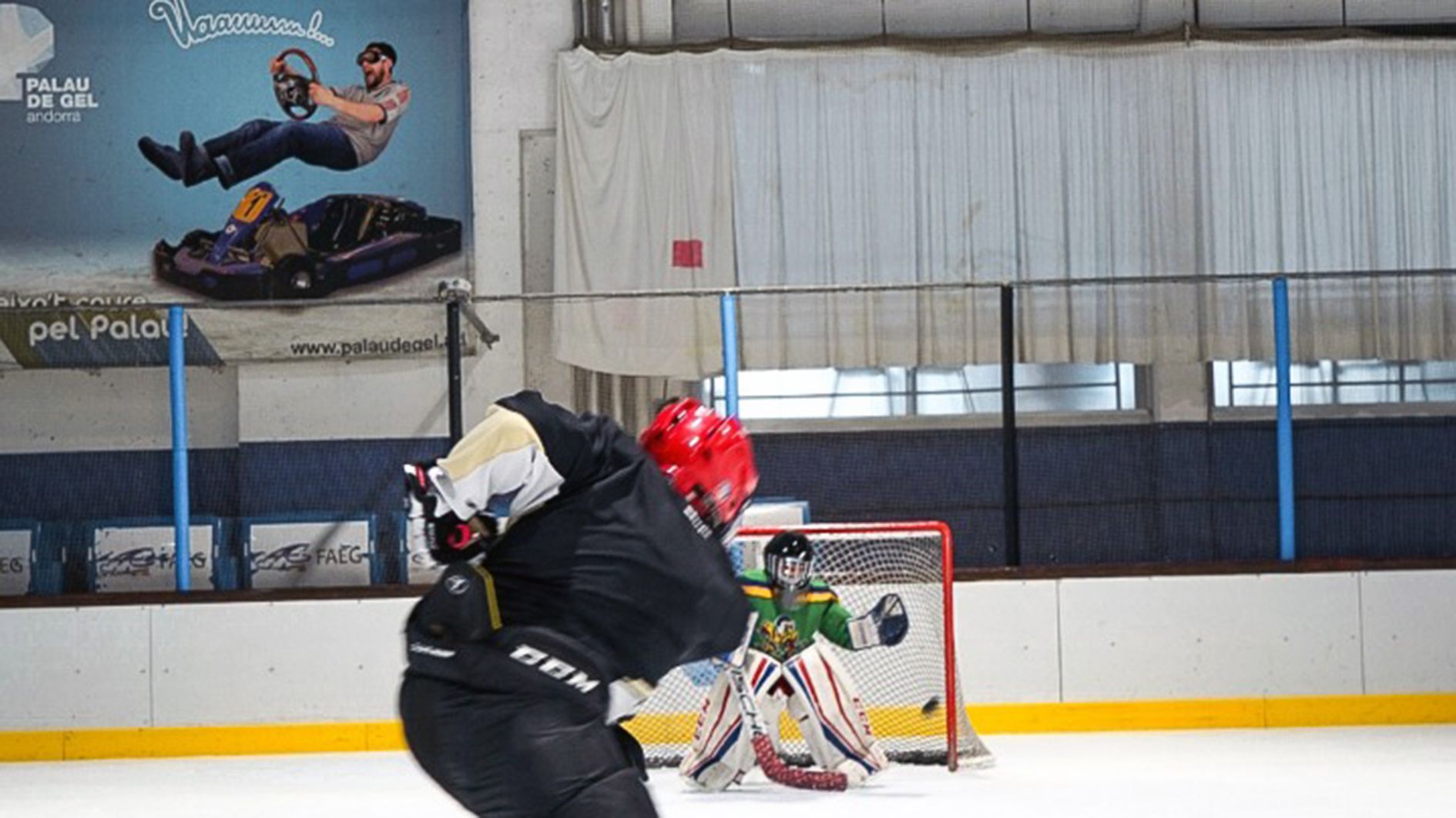 Mares i pares de jugadors d'hoquei gel han posat en marxa la iniciativa a change.org.