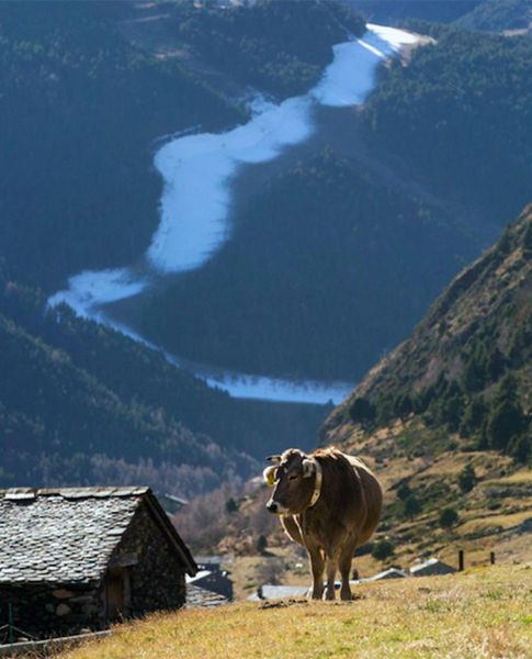 Una imatge de la pista l'Àliga del Tarter vista des d'Incles.|NATÀLIA MONTANÉ/SOLDEU-EL TARTER