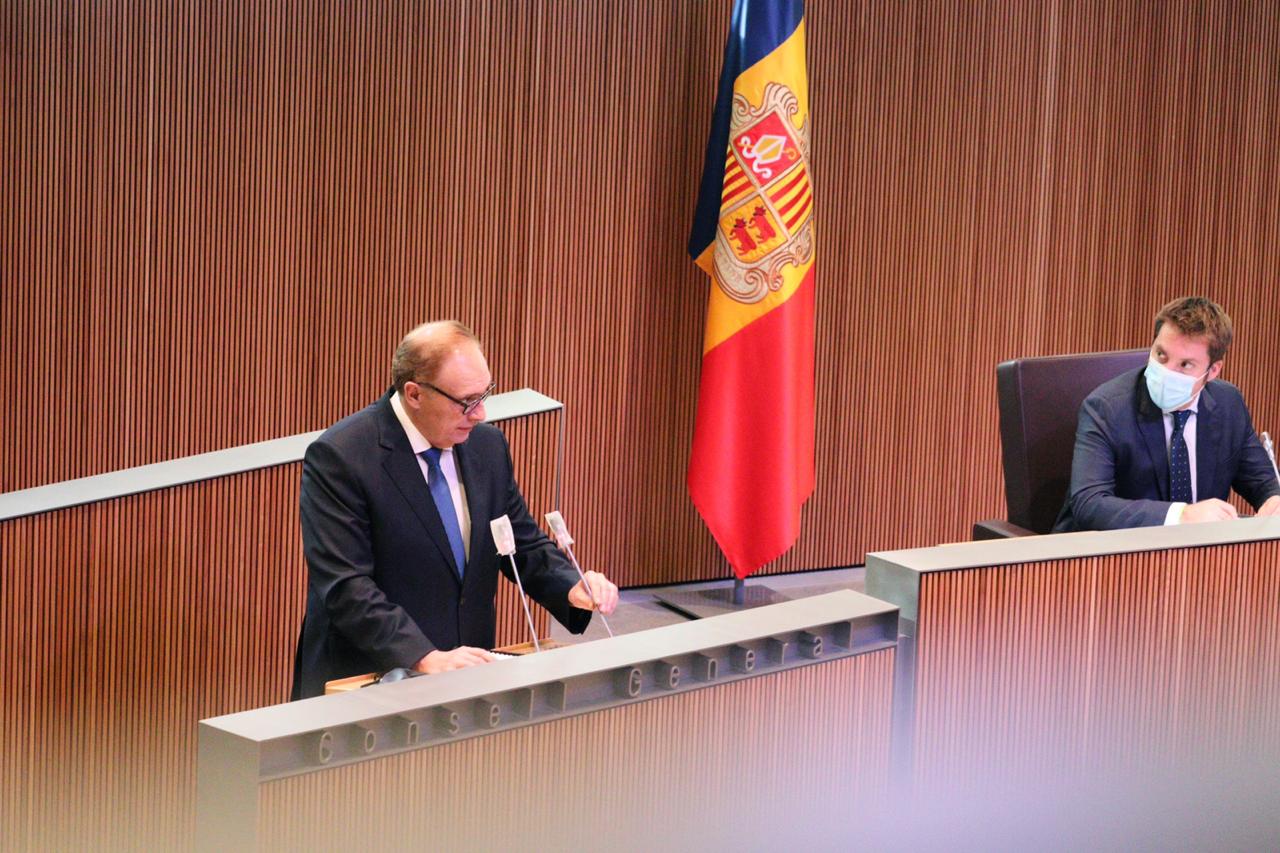 El president del grup de Terceravia, Josep PIntant, intervenint al Consell General.