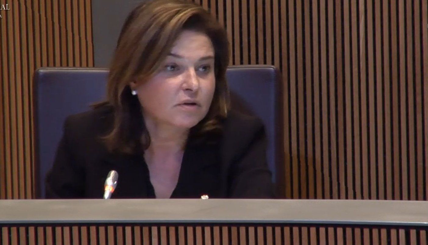 La ministra de Turisme, Verònica Canals aquest dijous al Consell General.