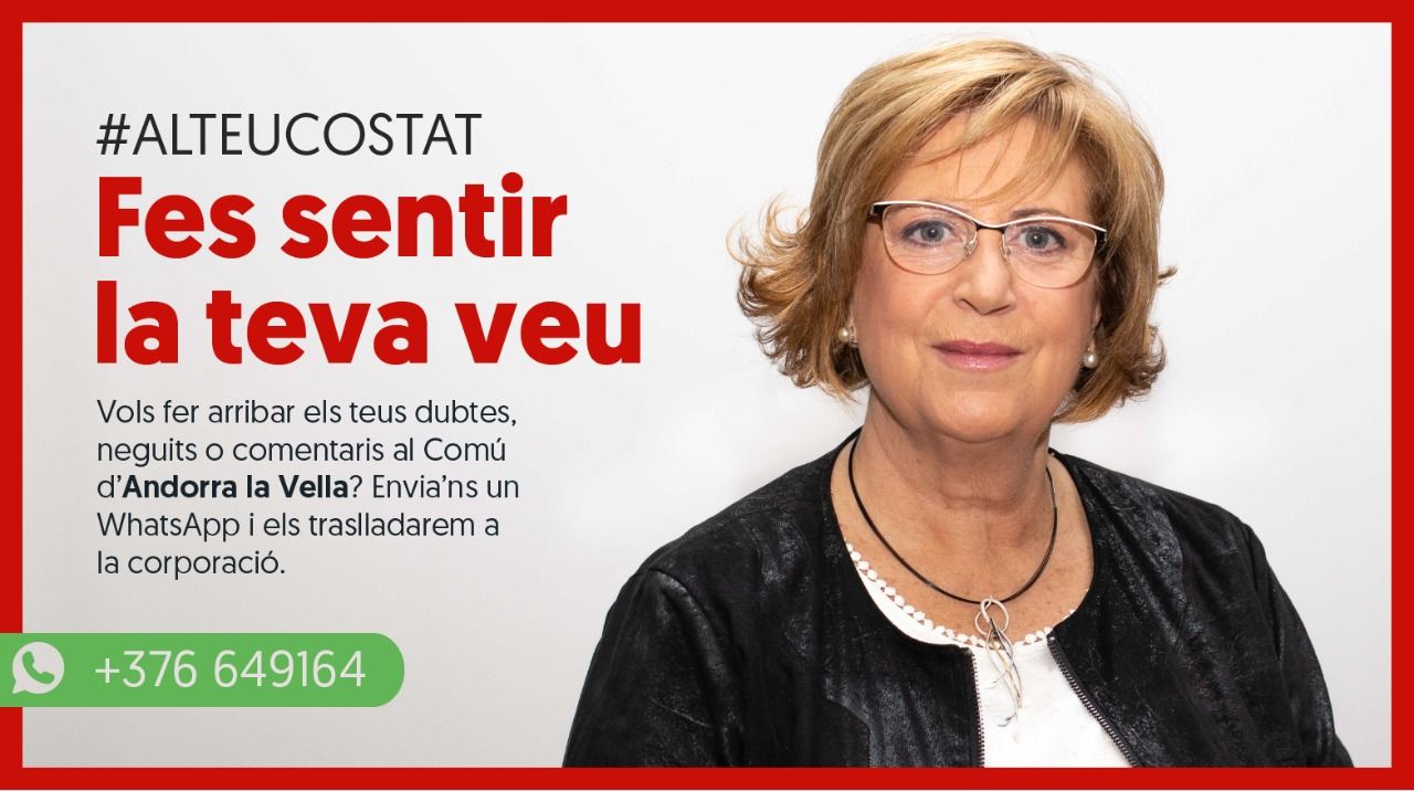 El cartell de la iniciativa amb la consellera de la minoria, Dolors Carmona