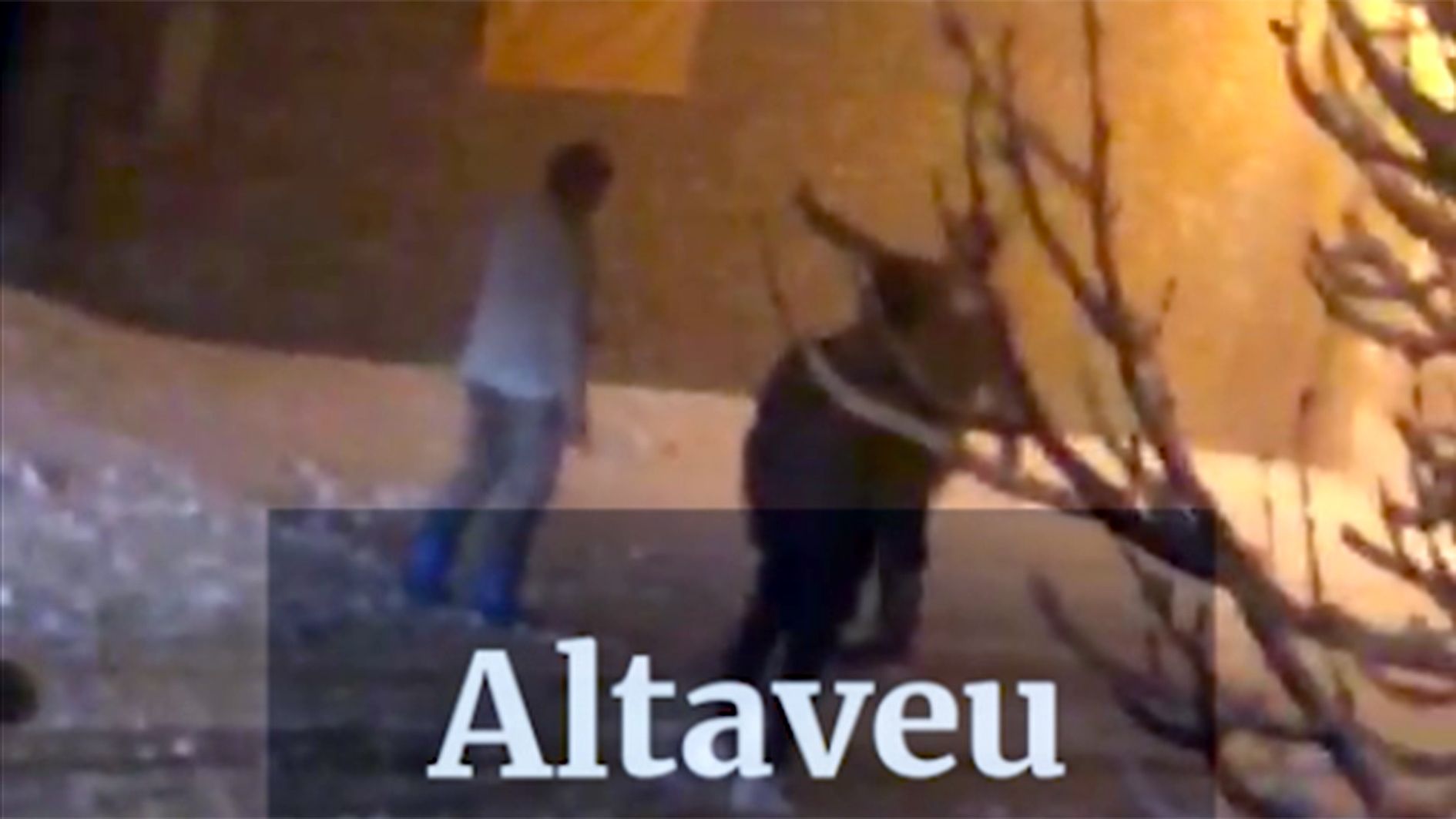 Dos familiars van intentar fer deposar de la seva actitud el jove fora de sí.