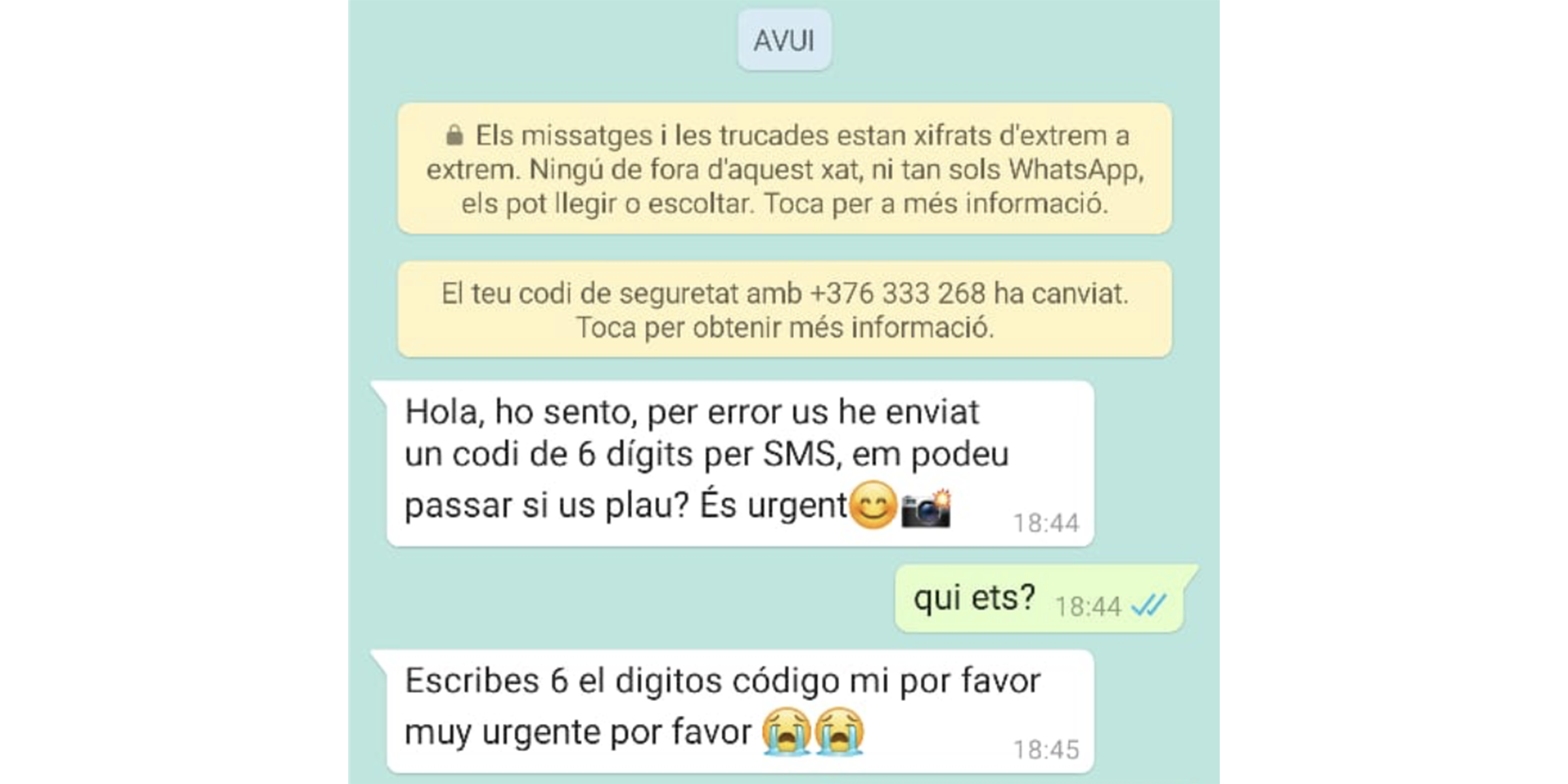 Imatge d'un intent d'estafa