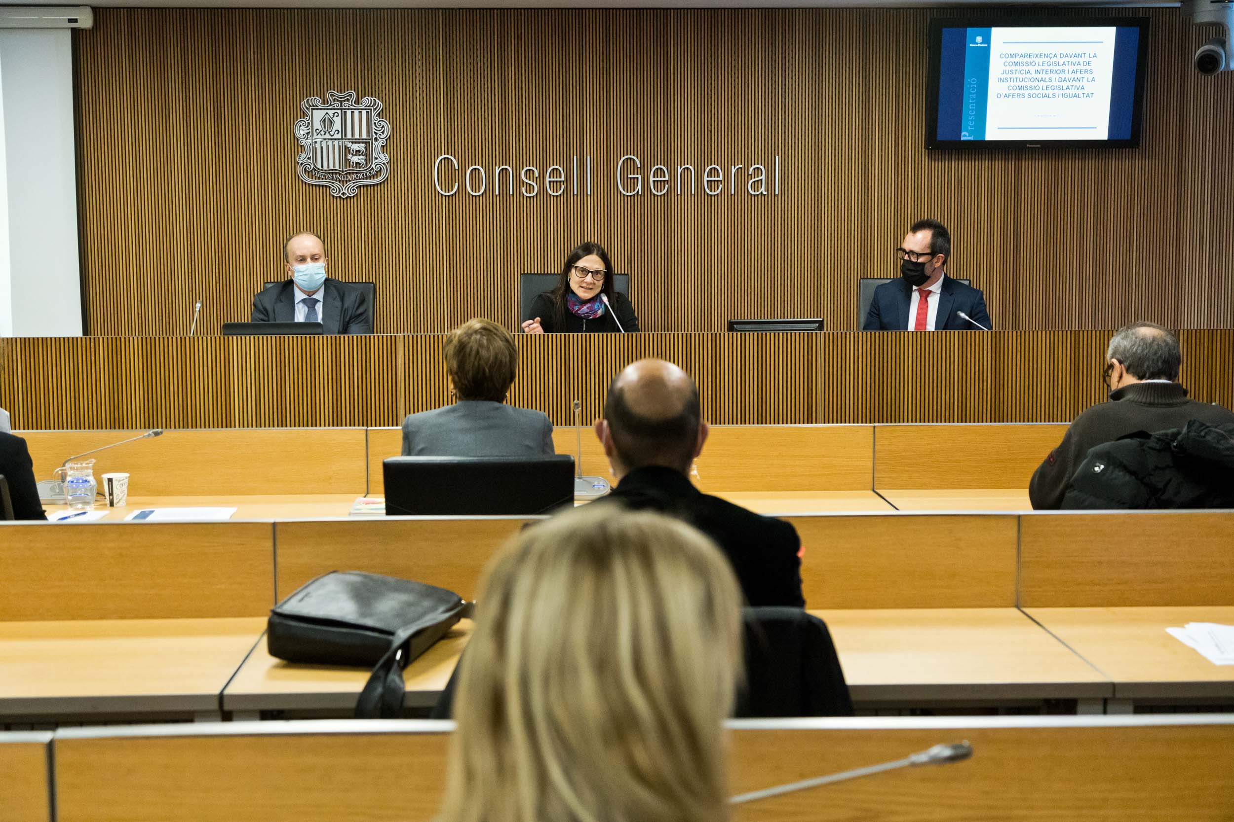 Josep Maria Rossell i Víctor Filloy han comparegut al Consell General.