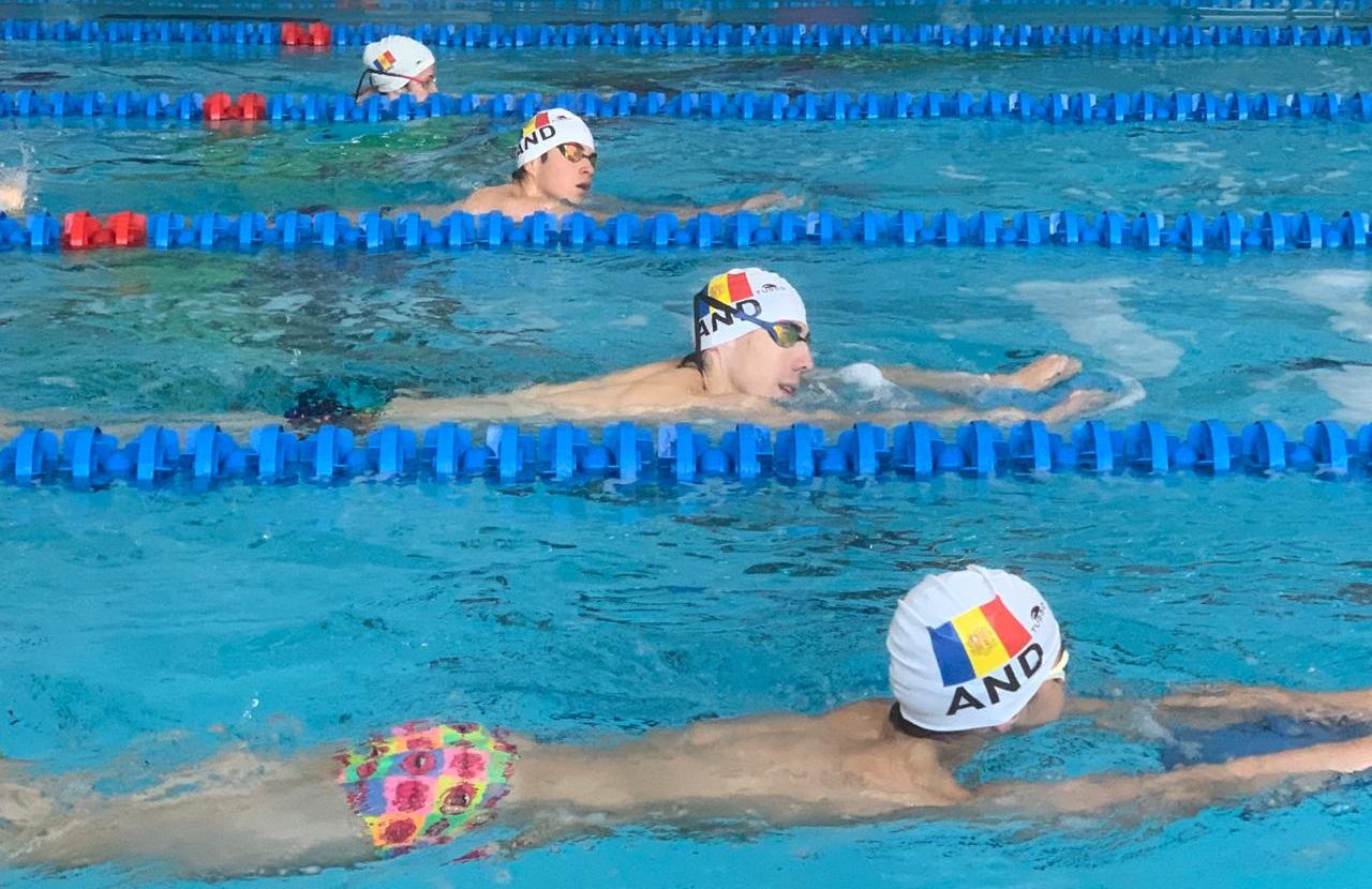 Entrenament de nedadors de la federació.