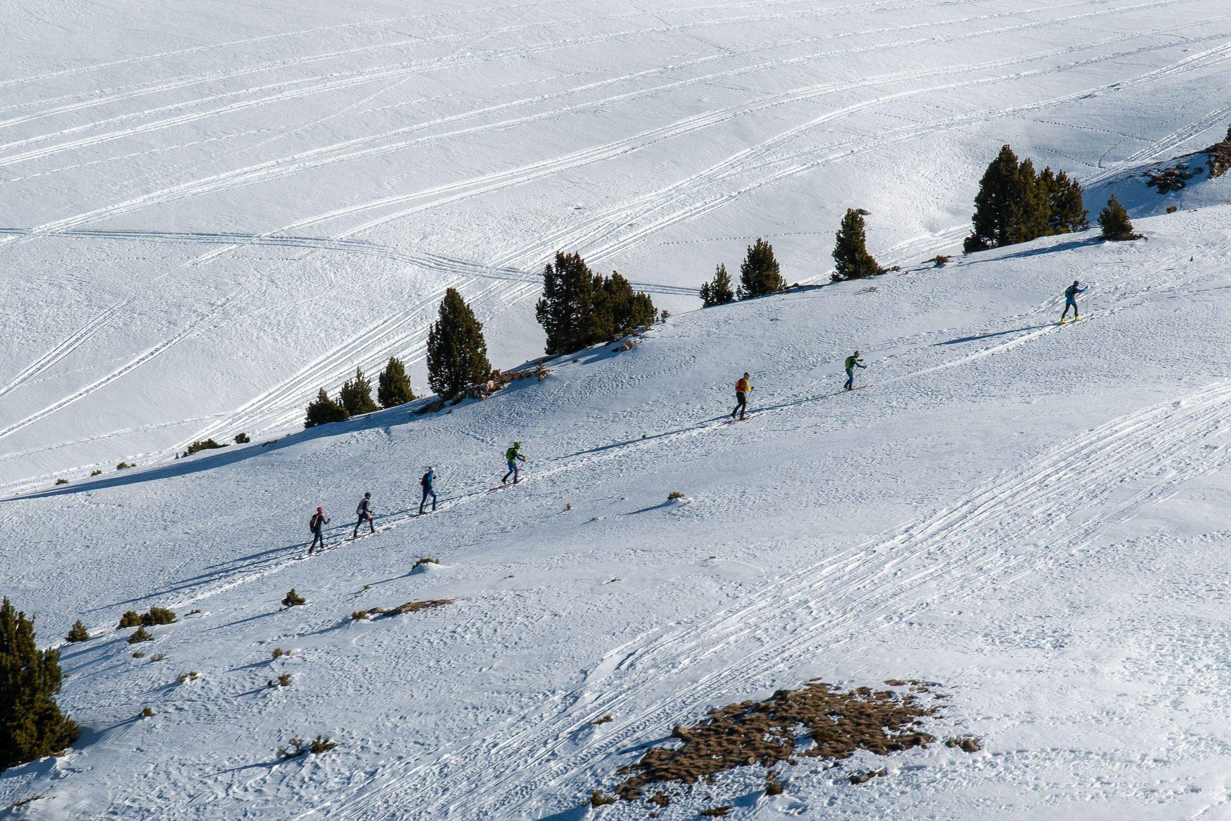 Un grup de practicants d'esquí de muntanya durant una competició. Un grup de practicants d'esquí de muntanya durant una competició.