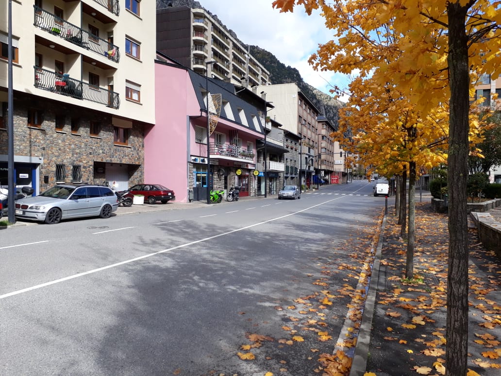 Tram de l'avinguda d'Enclar on el comú sí preveu actuar de forma imminent.