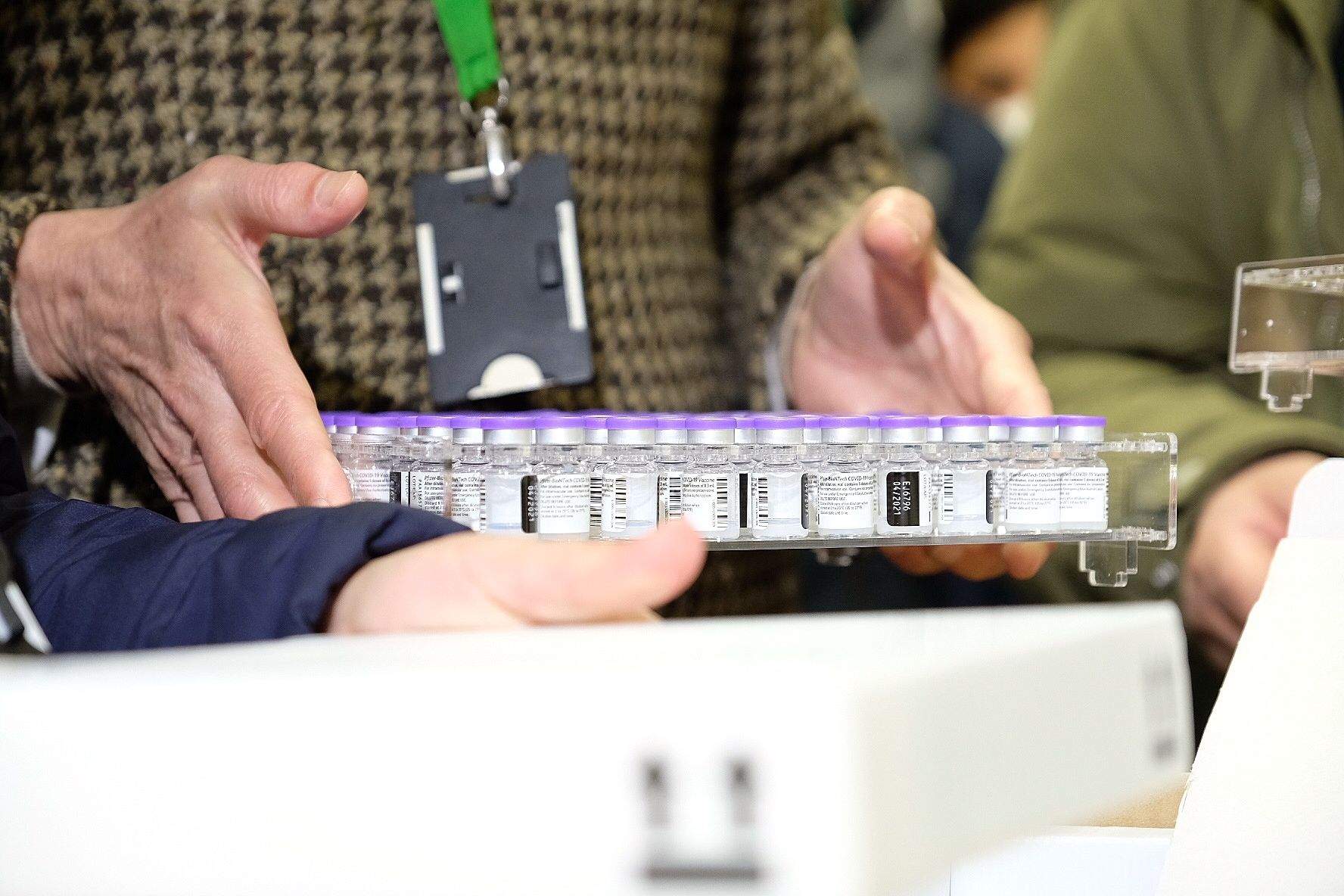 Una safata amb dosis de la vacuna.