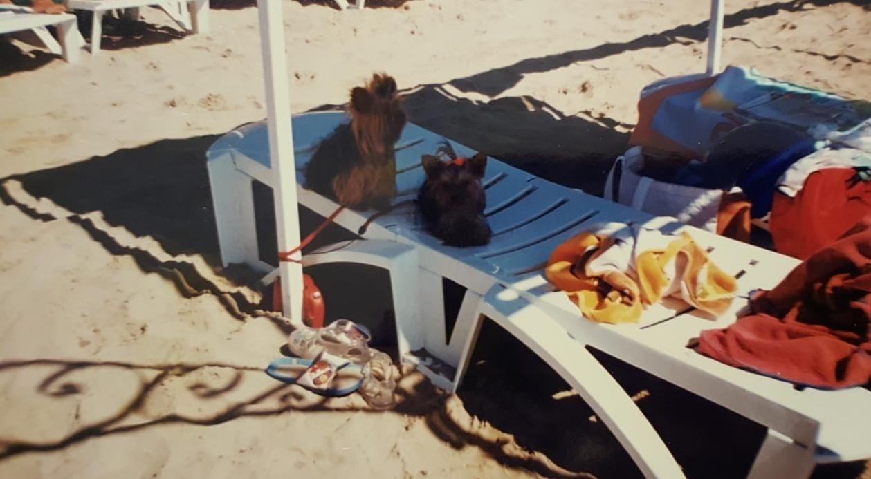 La Perla i el Pitufo van morir fa més de quinze anys però la seva propietària ha rebut les cartes.