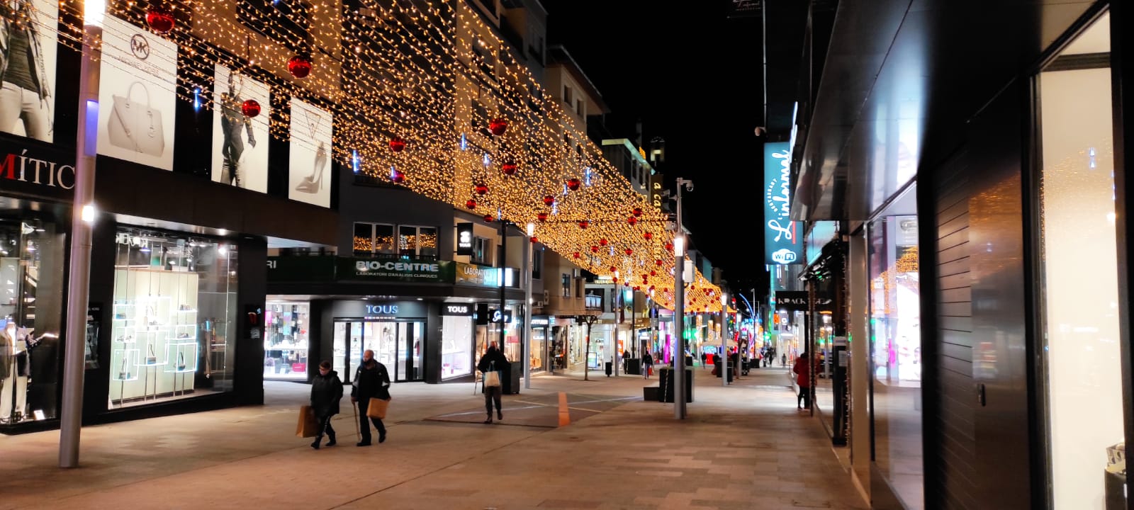 Zona de l'avinguda Carlemany on s'hauria precipitat el dron.