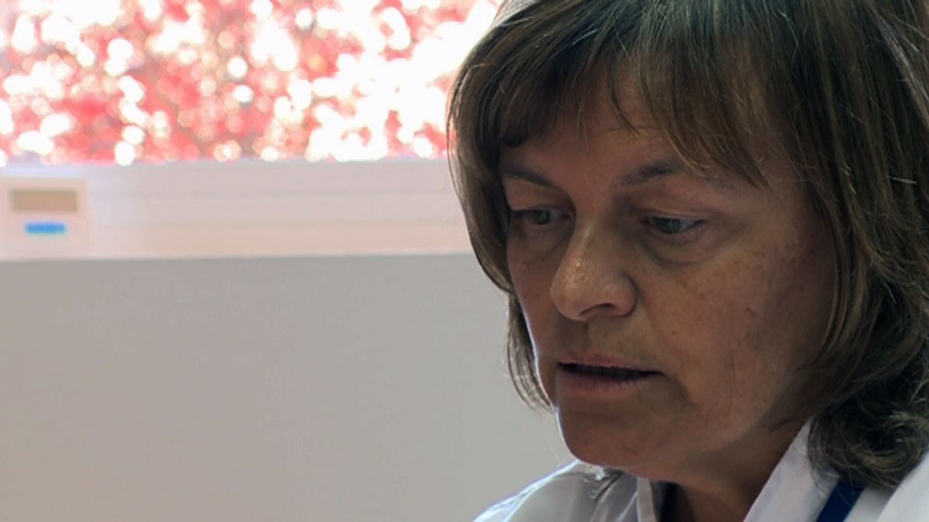 Carme Curcó va ser designada per al càrrec l'estiu del 2016.