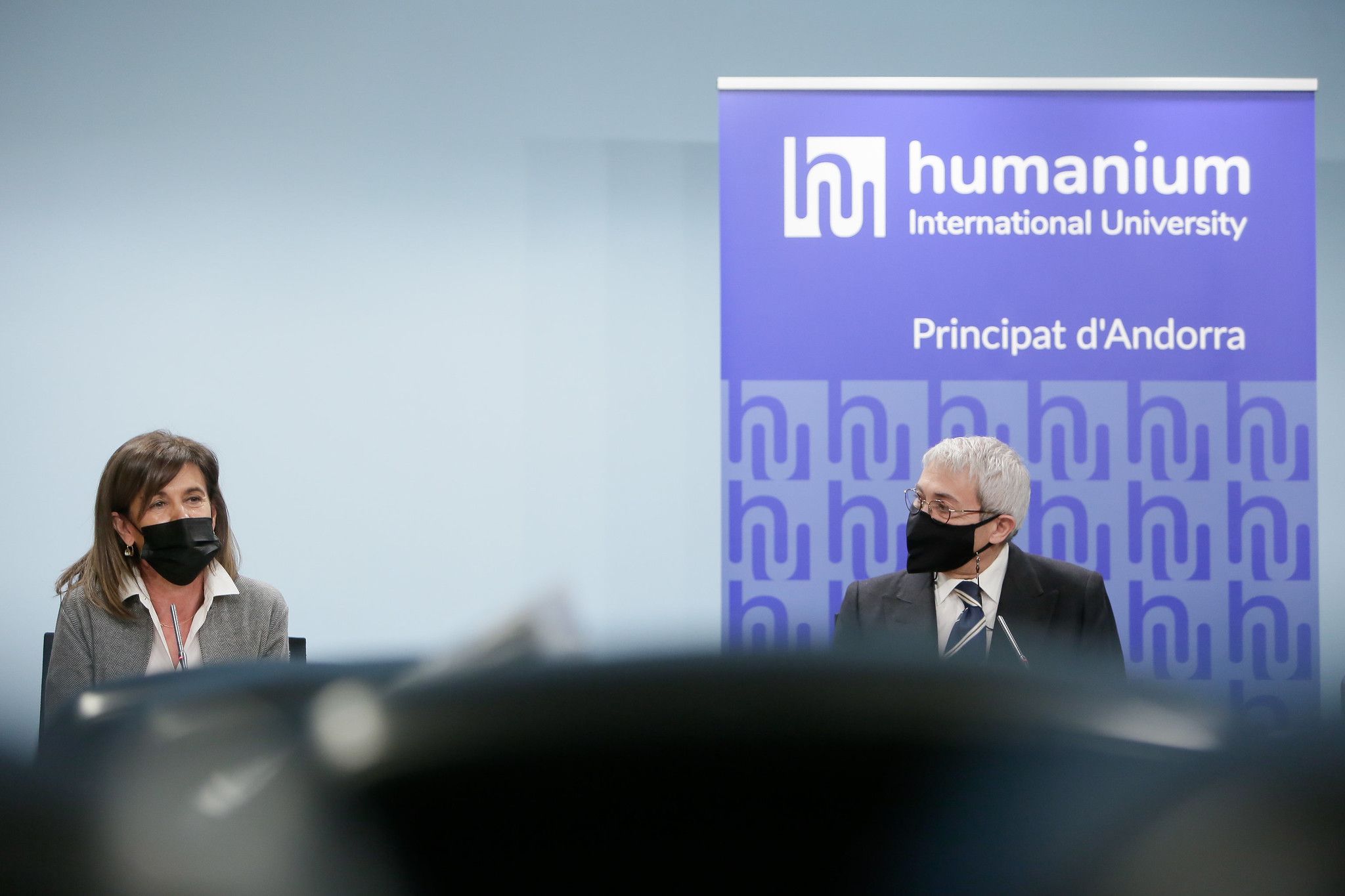 Ester Vilarrubla durant una compareixença pública.