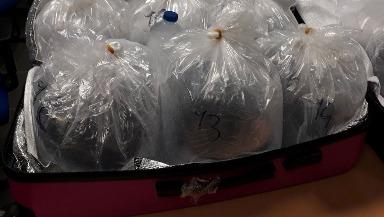 Algunes de les bosses de transport de les angules.