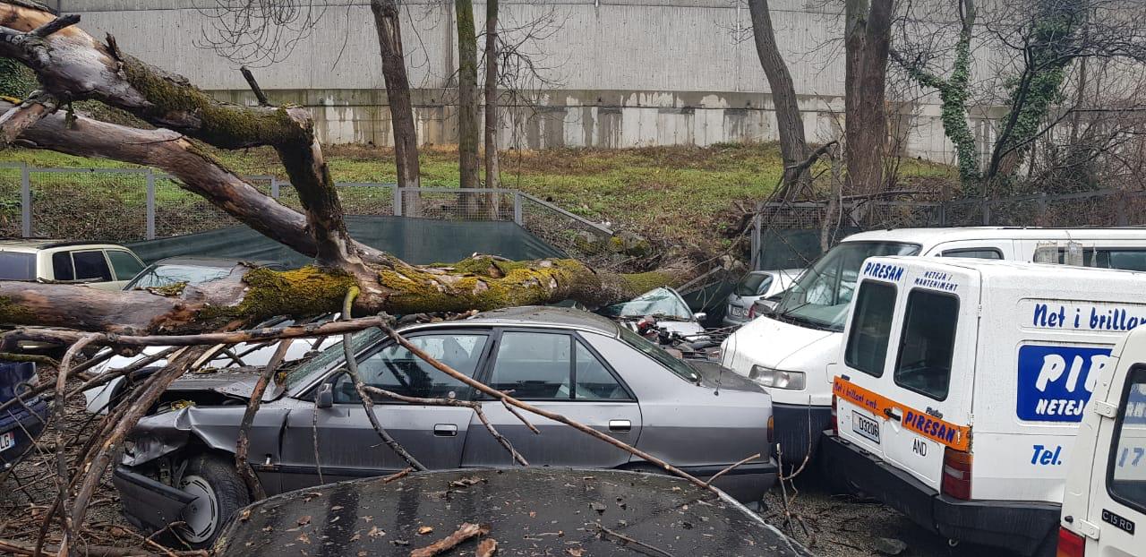 L'arbre descalçat damunt de dos dels vehicles afectats.