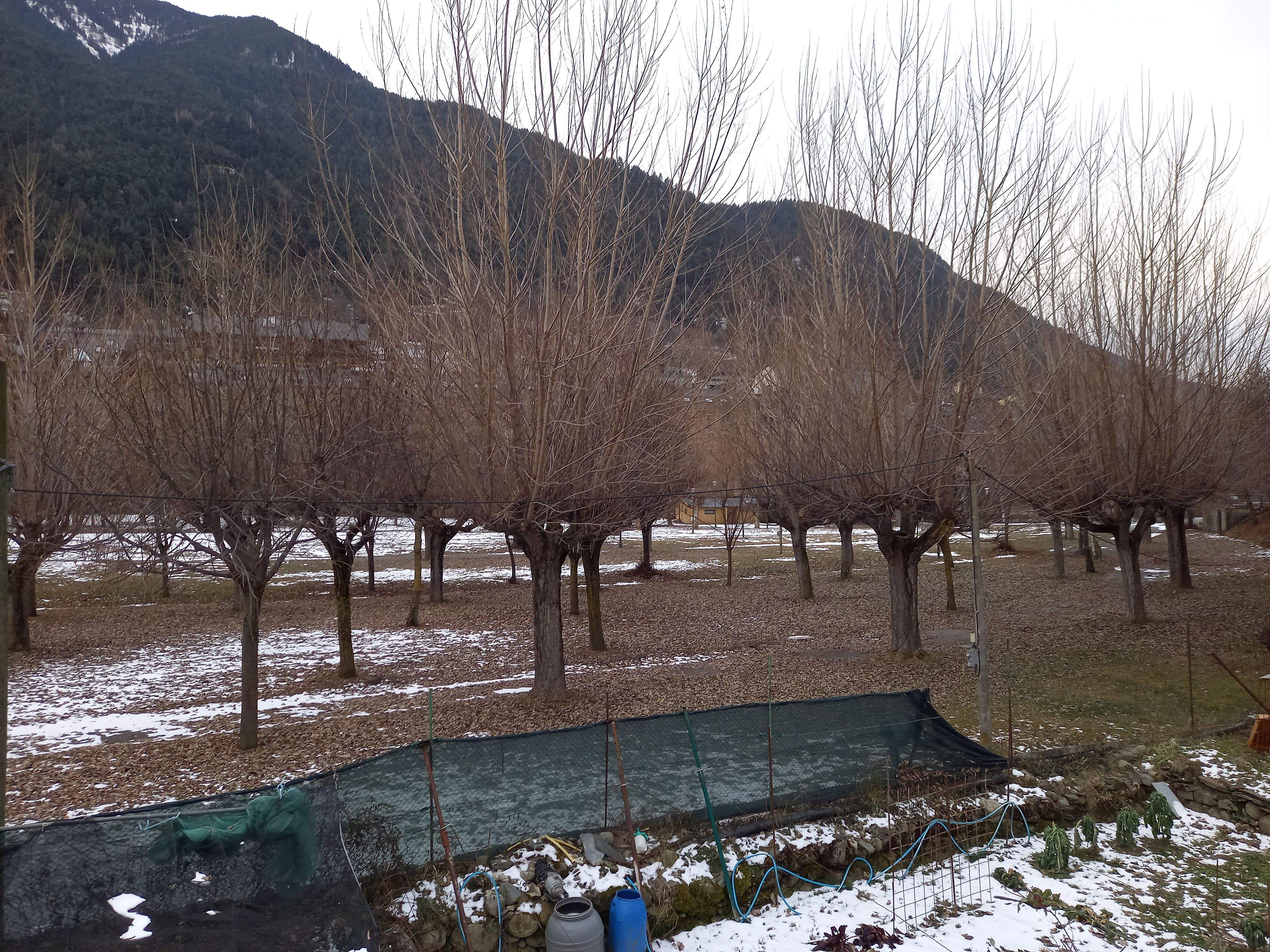 Terreny que havia ocupat el Càmping Valira.