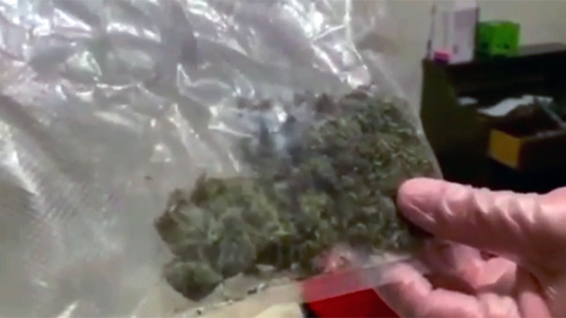 Marihuana comissada per la policia en el marc de l''Operació Estella'.