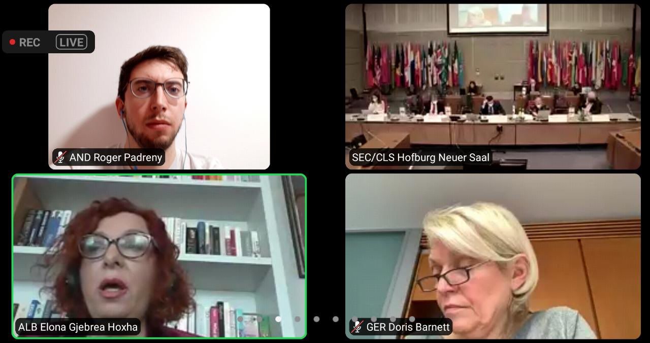 Un instant d'una de les reunions telemàtiques celebrades aquest divendres.