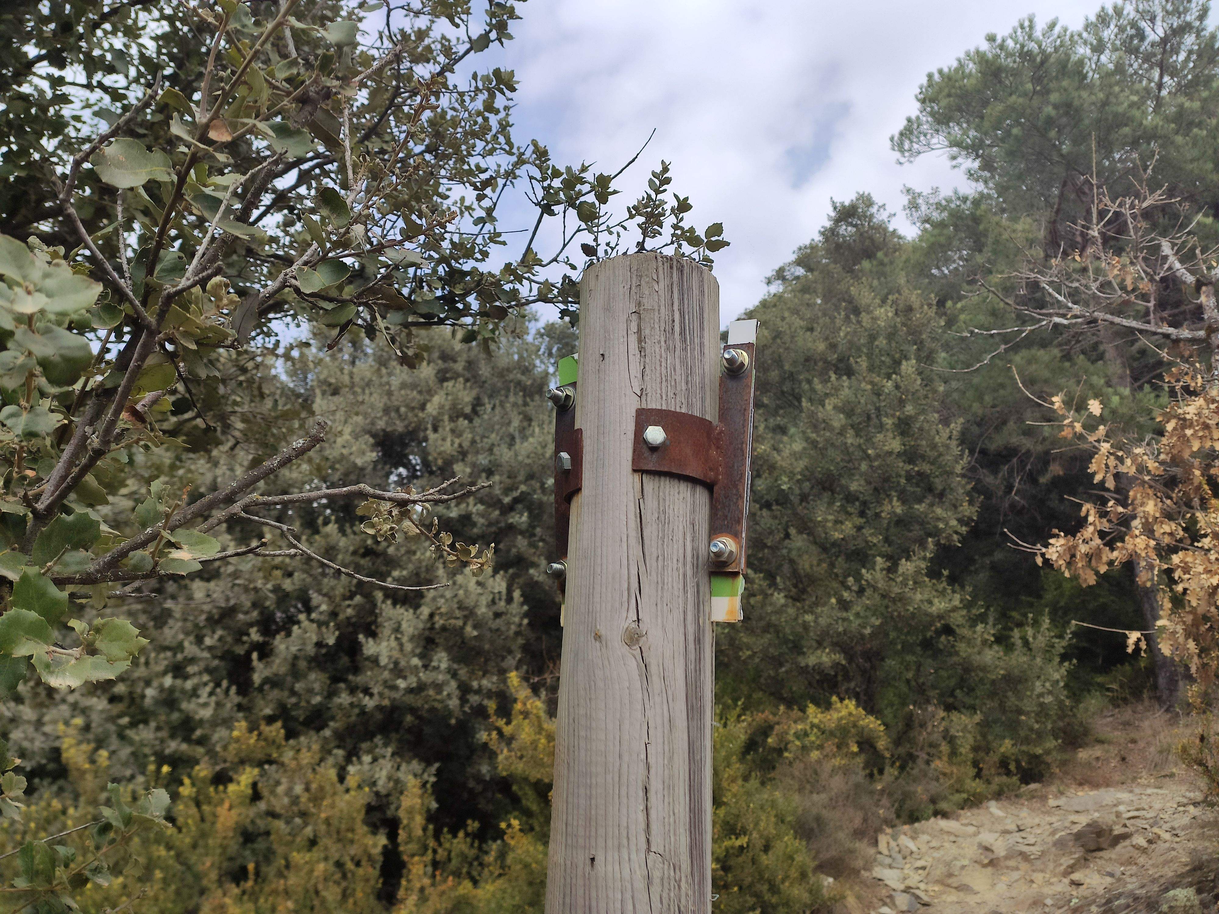 Els tres senyals de la cruïlla del camí del roc de l'Àliga amb el de la Solana han estat arrencats.