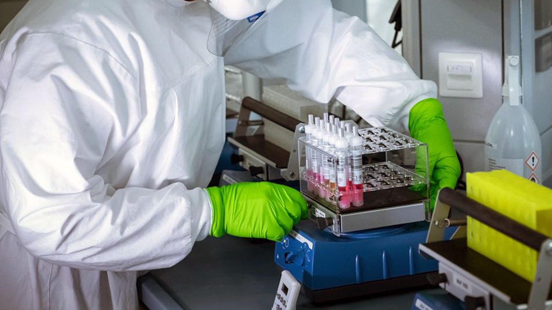 Qualsevol petit avenç científic per al coneixement del coronavirus es valora molt.