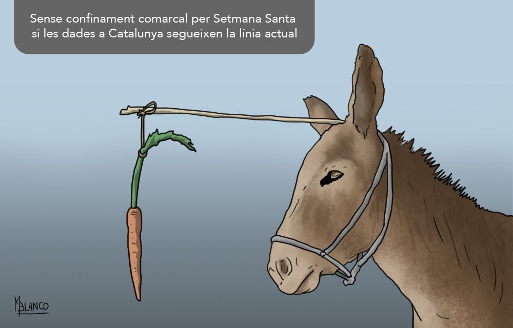 Seguint la pastanaga.