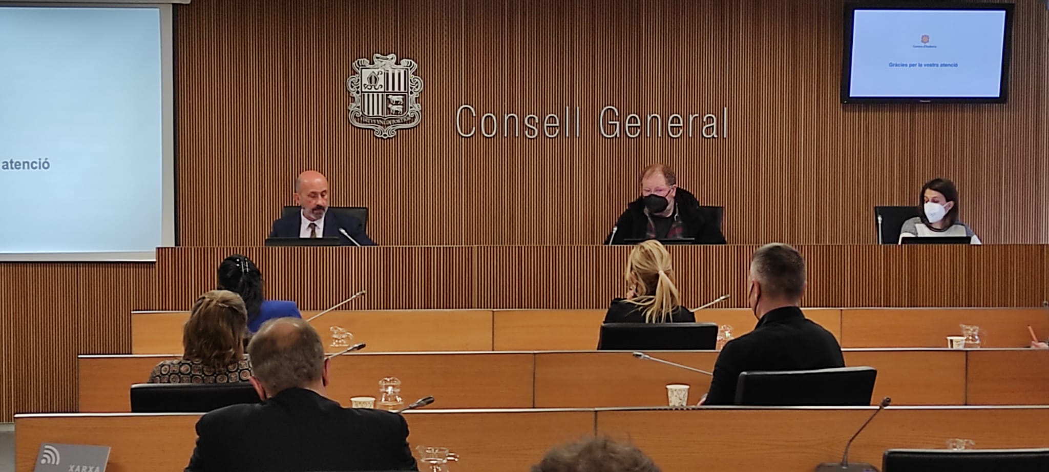 Joan Martínez Benazet durant la compareixença al Consell General. Joan Martínez Benazet durant la compareixença al Consell General.