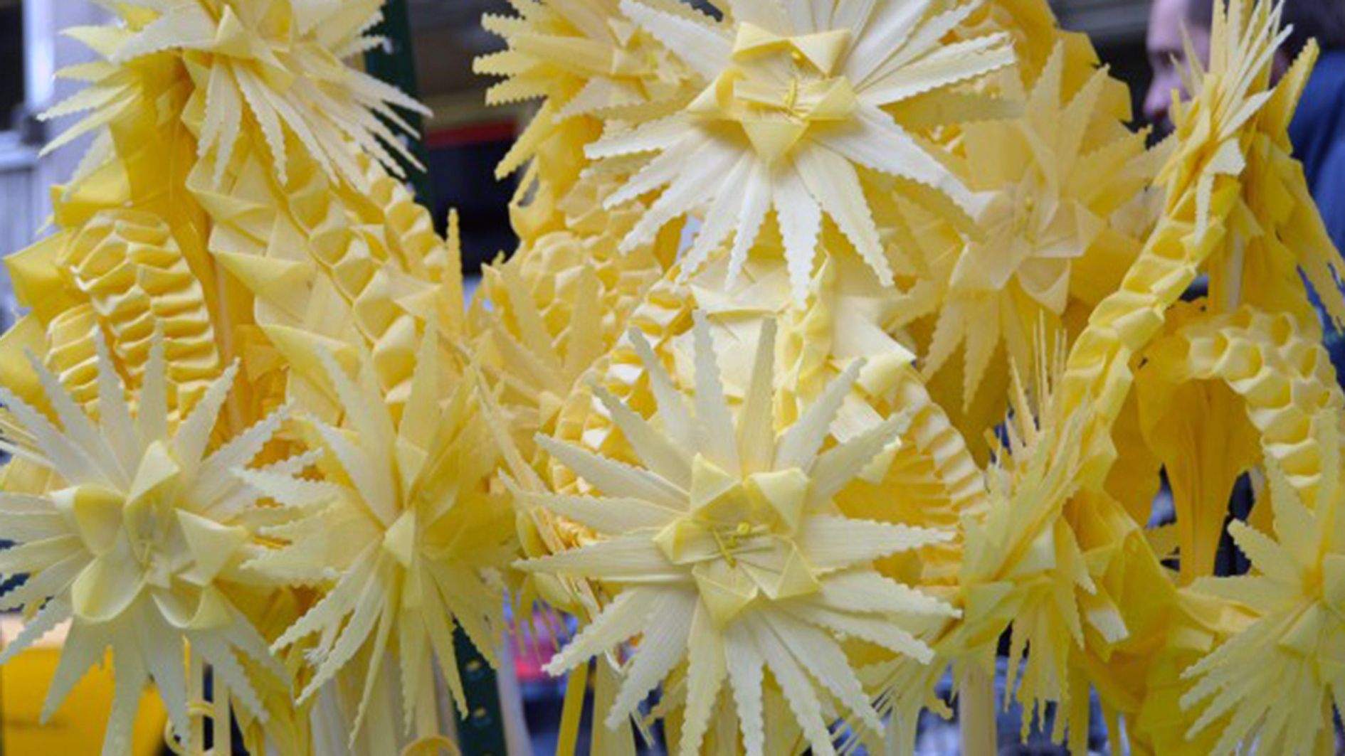 Exposició de palmes.