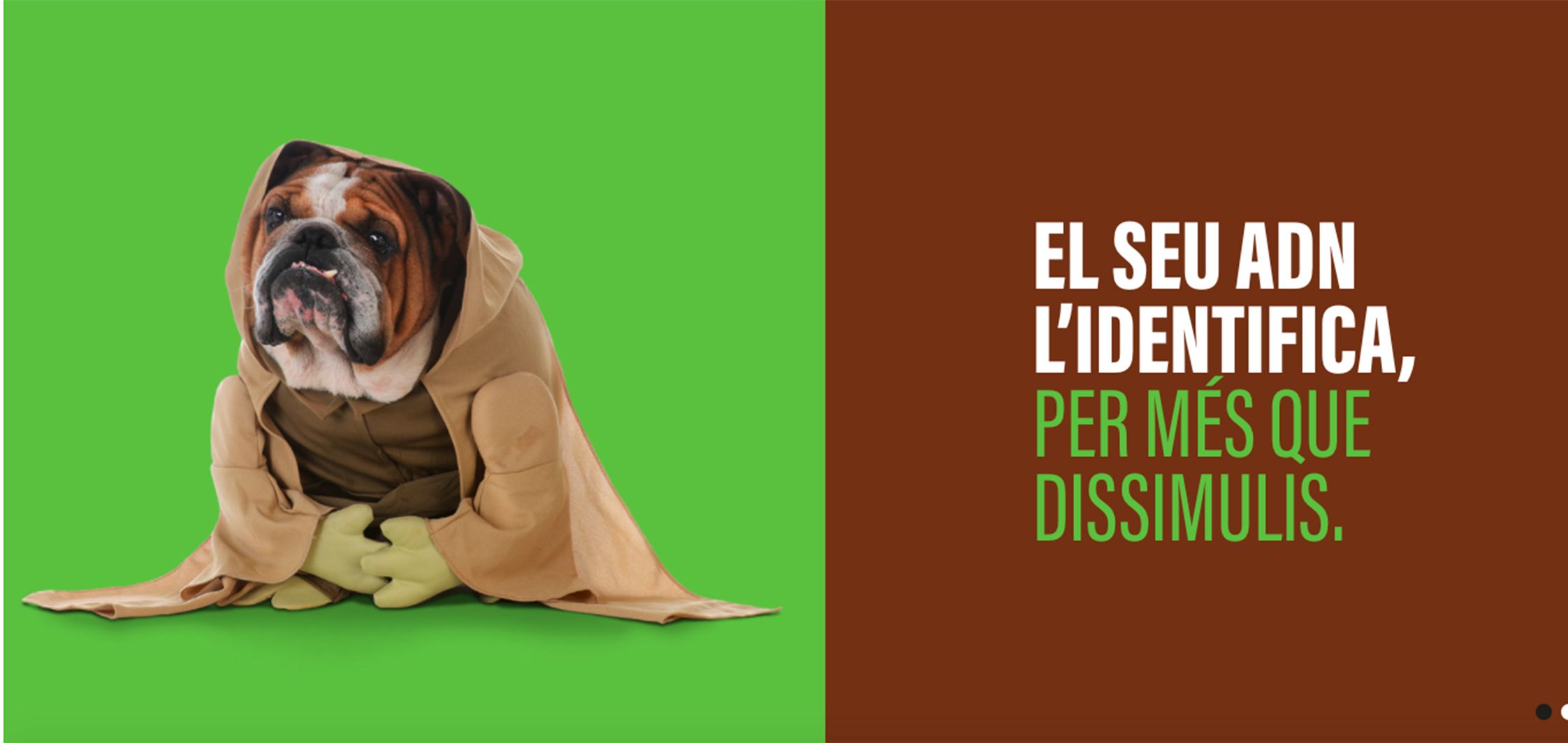 Una imatge de la campanya promoguda pels comuns -excepte Escaldes- sobre l'ADN caní. Una imatge de la campanya promoguda pels comuns -excepte Escaldes- sobre l'ADN caní.