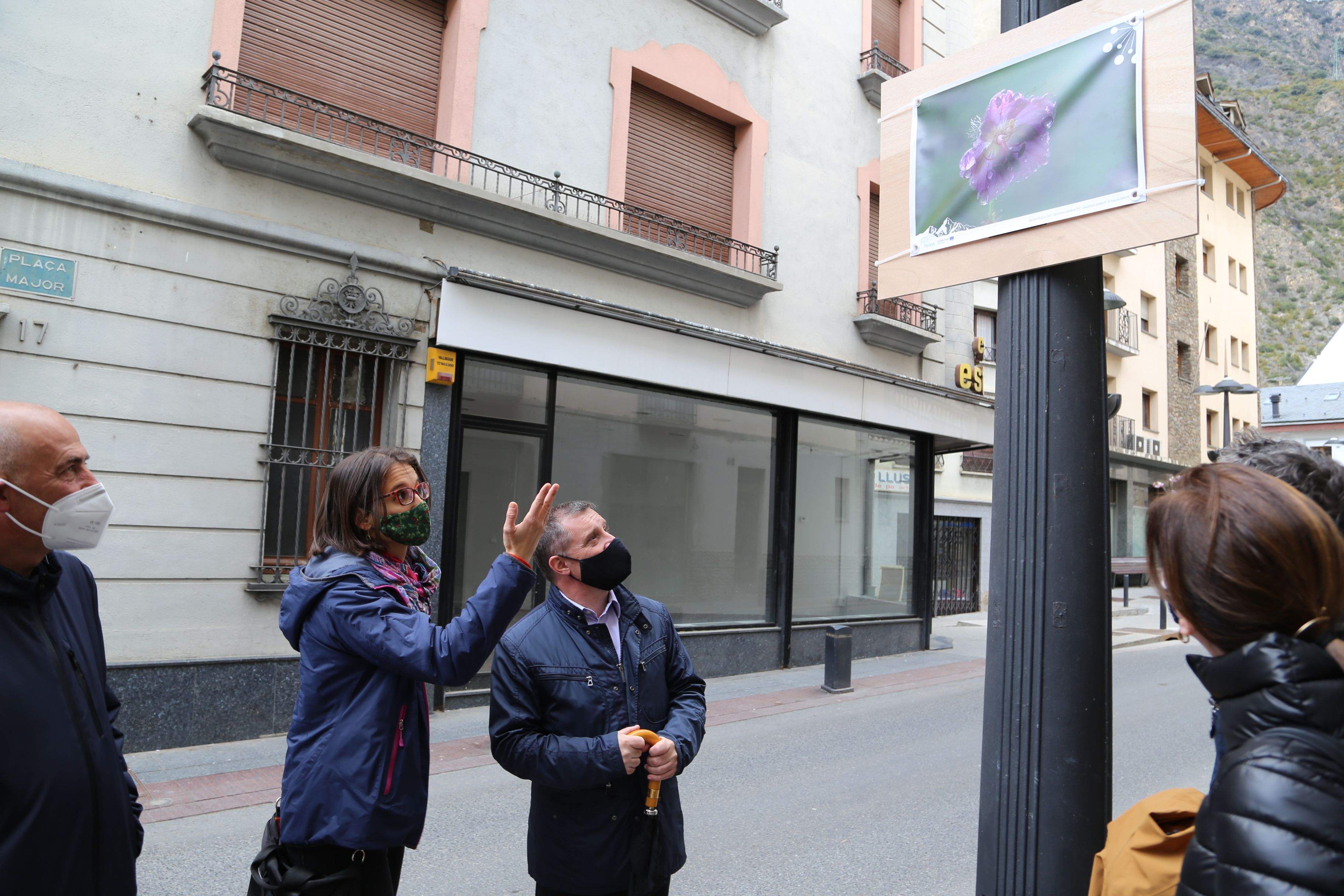 Un moment de l'exposició 'Flora del Pirineu'