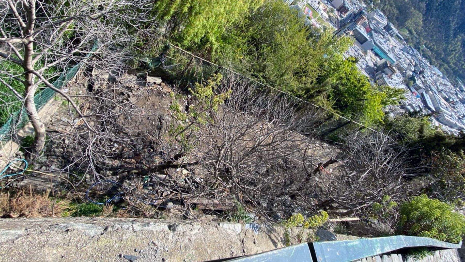 La parcel·la ja netejada.