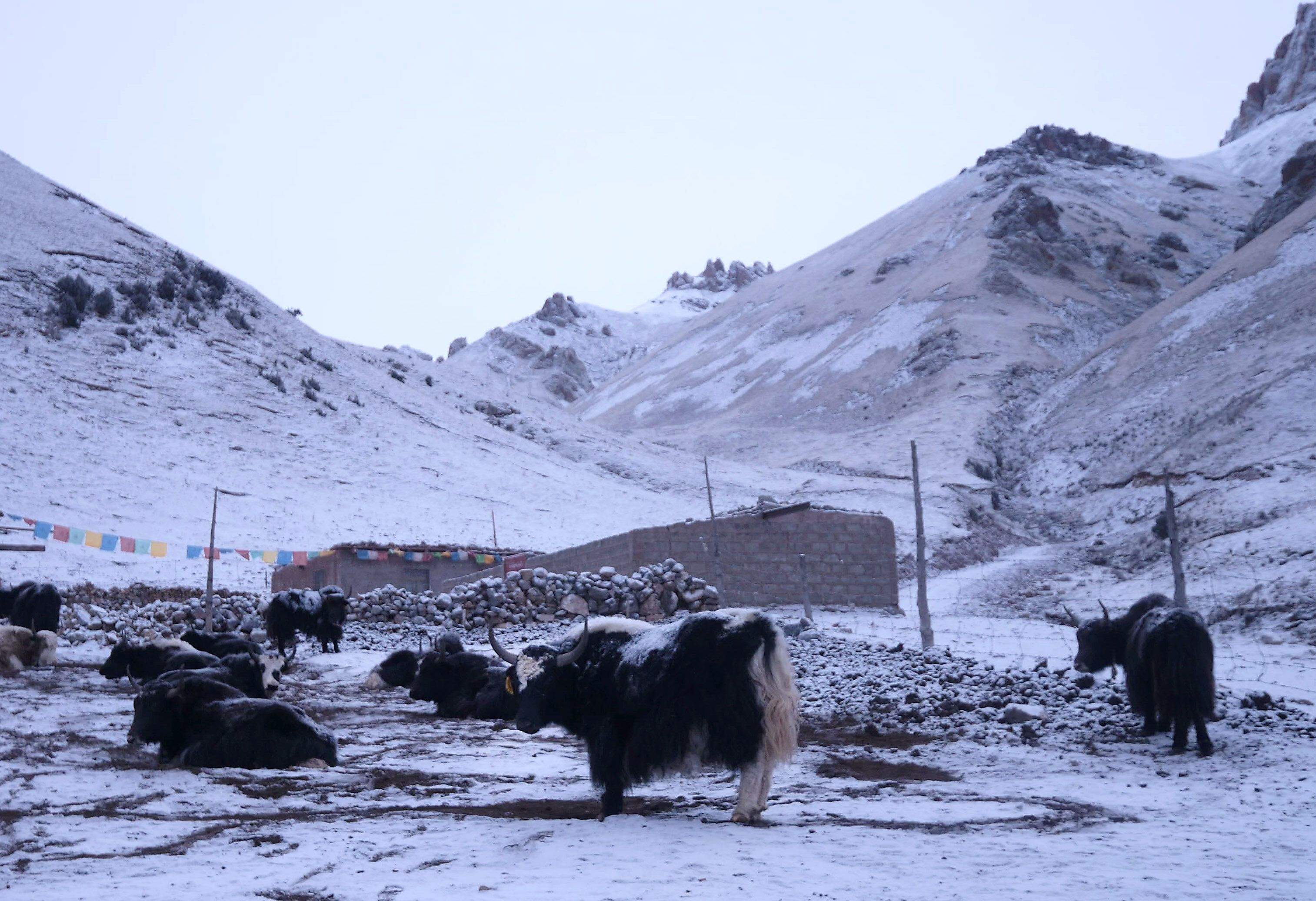 Una de les fotografies d'Andoni Candela, que serà l'encarregat d'una de les conferències.