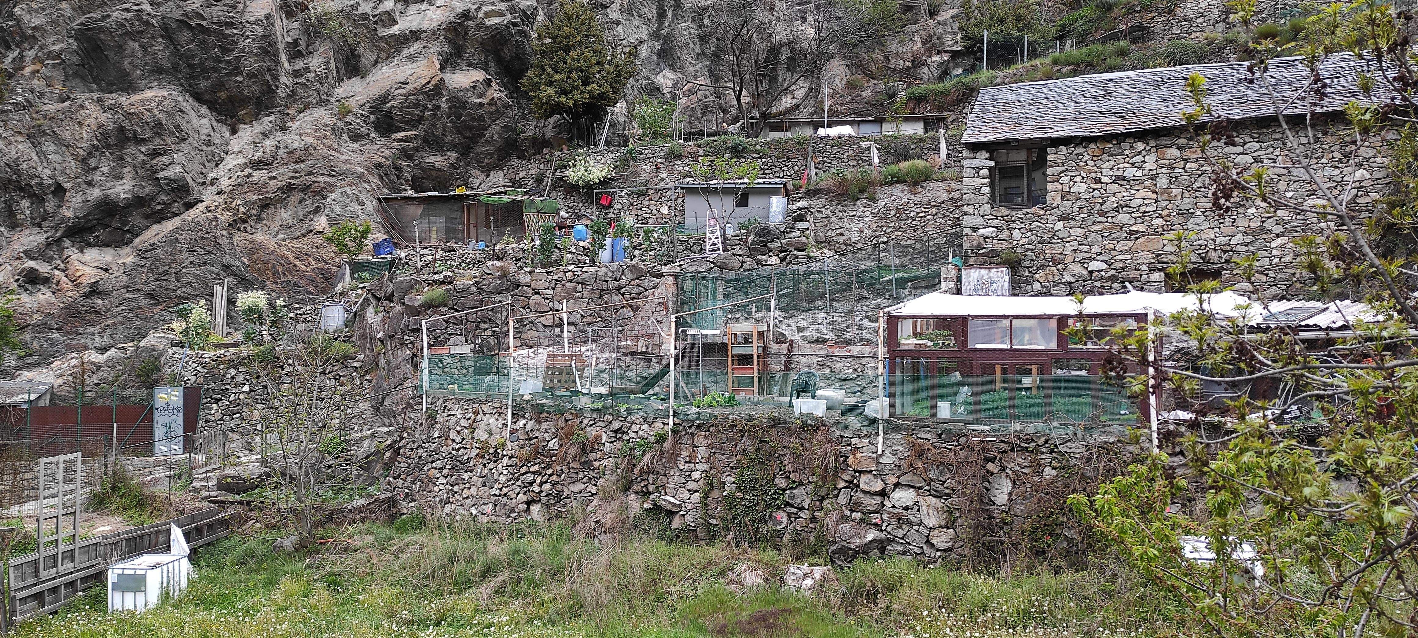 Horts al camí d'Ensucaranes aquest divendres a la tarda.