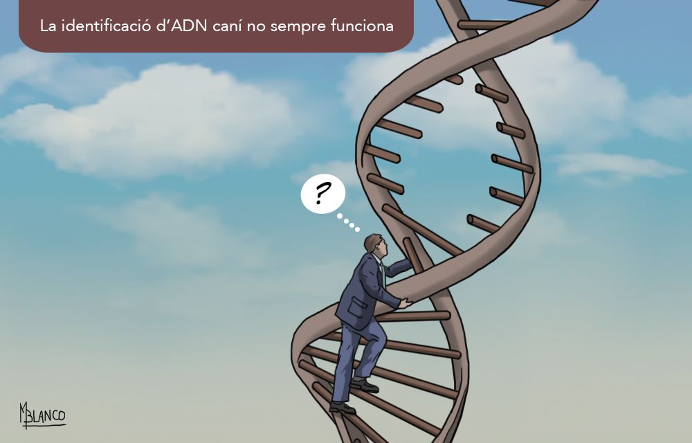 Escales que no sempre porten a lloc.