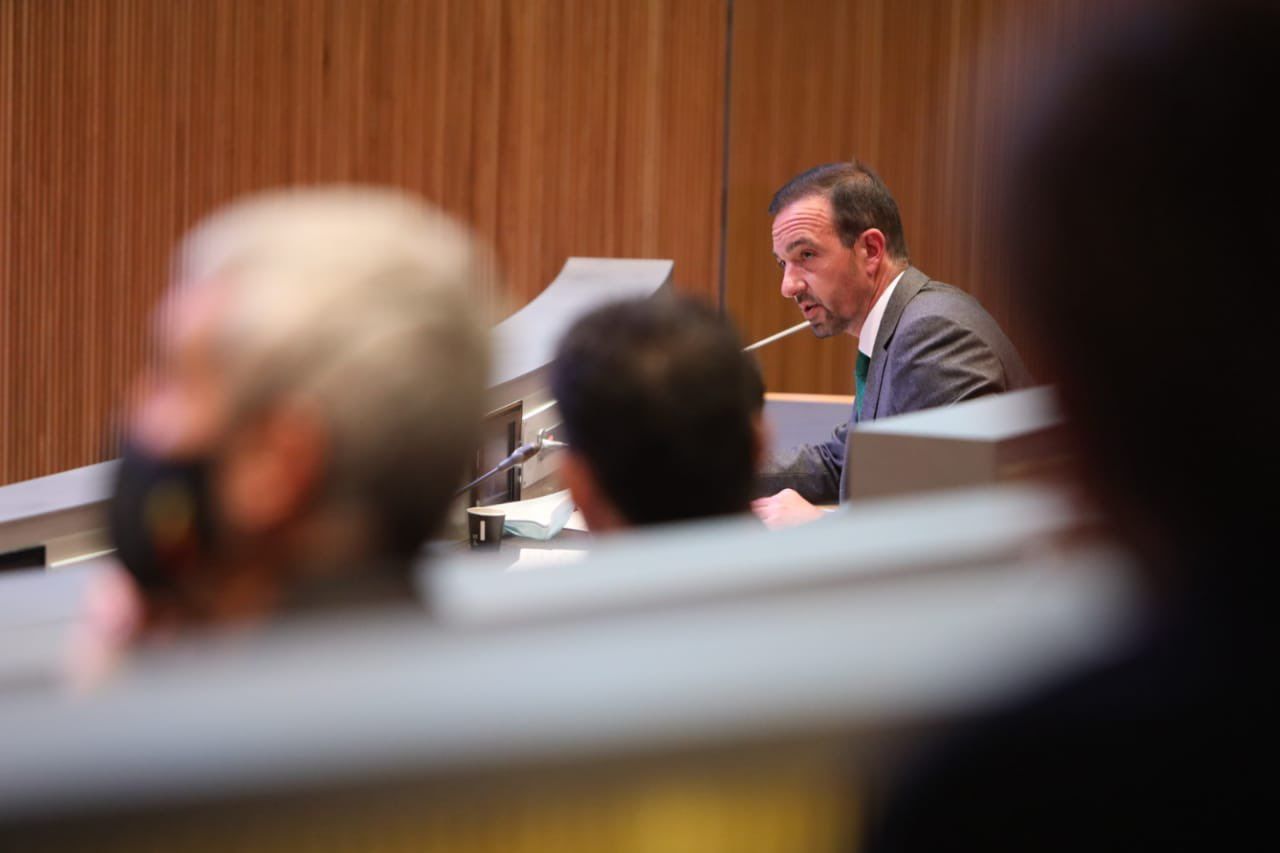 El ministre Torres Falcó, durant la seva intervenció al ple de la cambra.